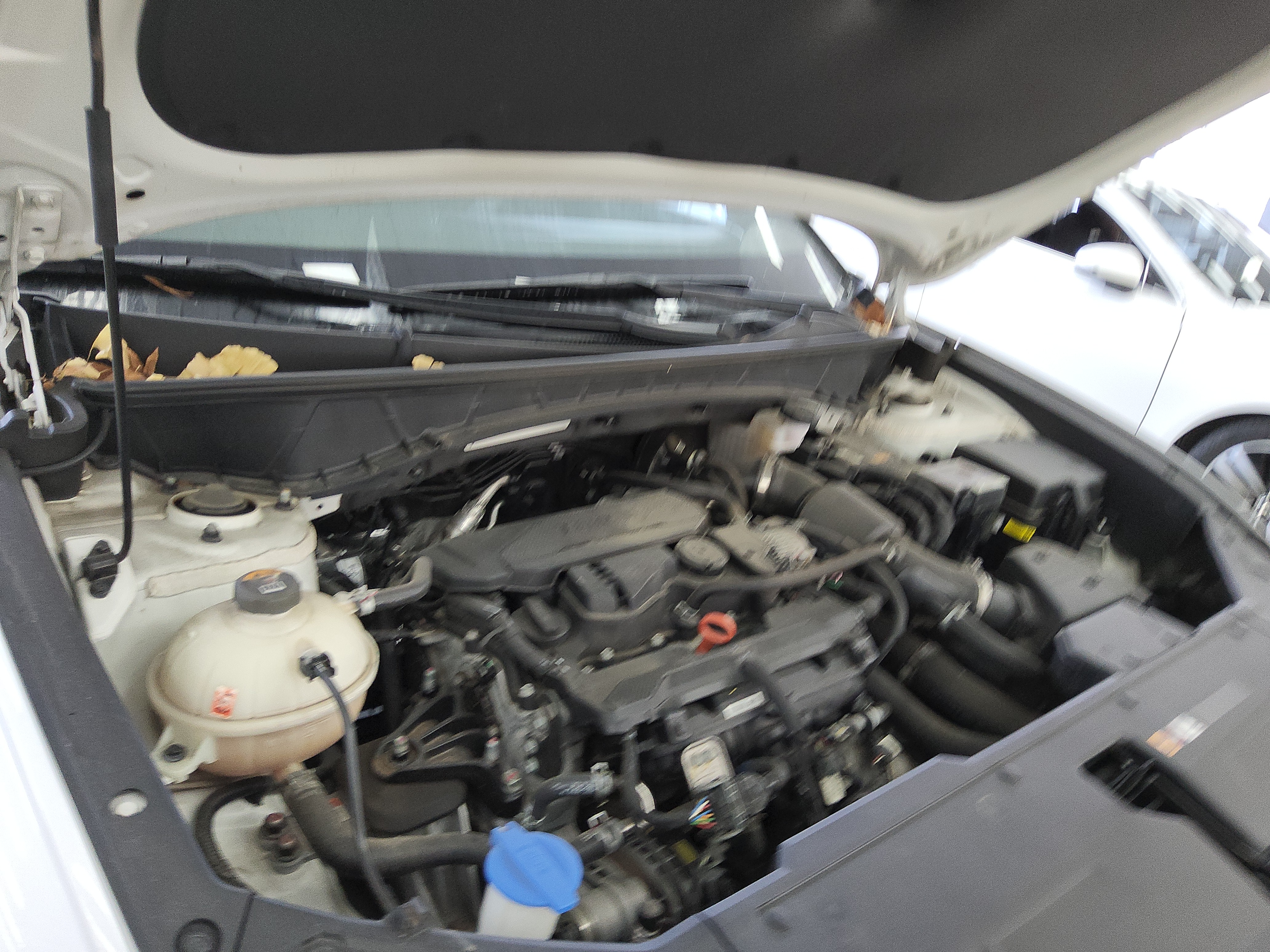 صورة إضافية