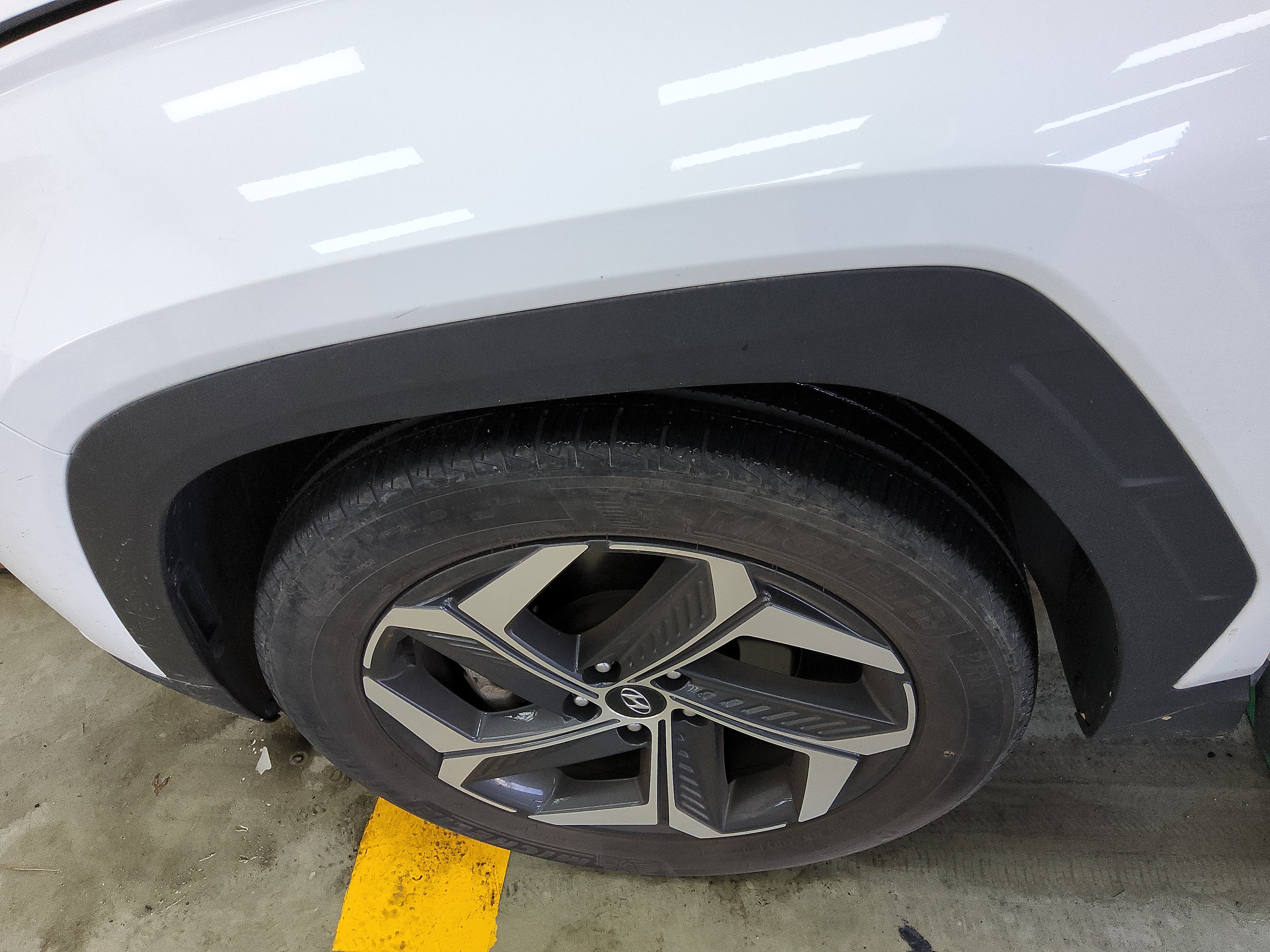 صورة إضافية