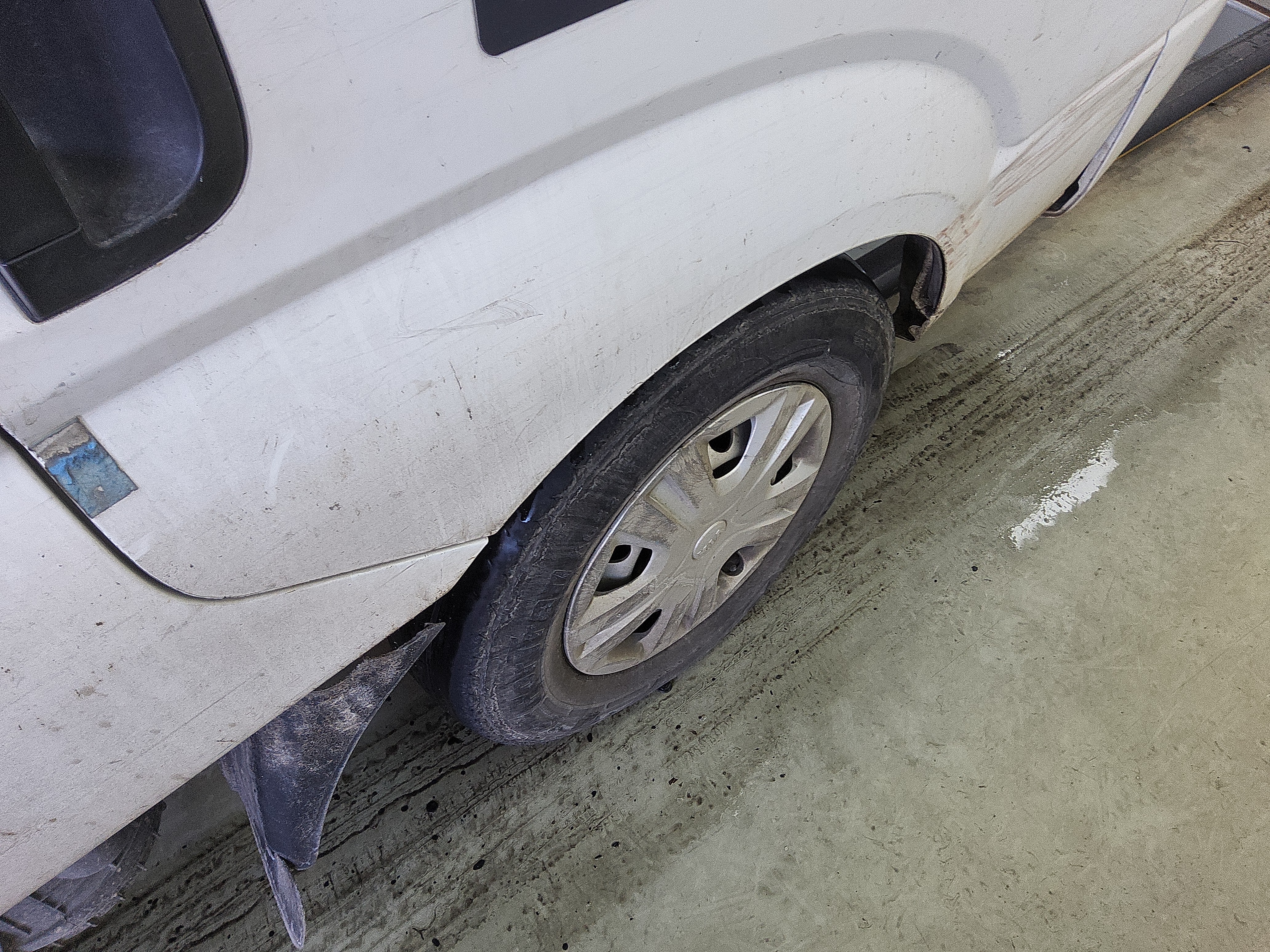 صورة إضافية