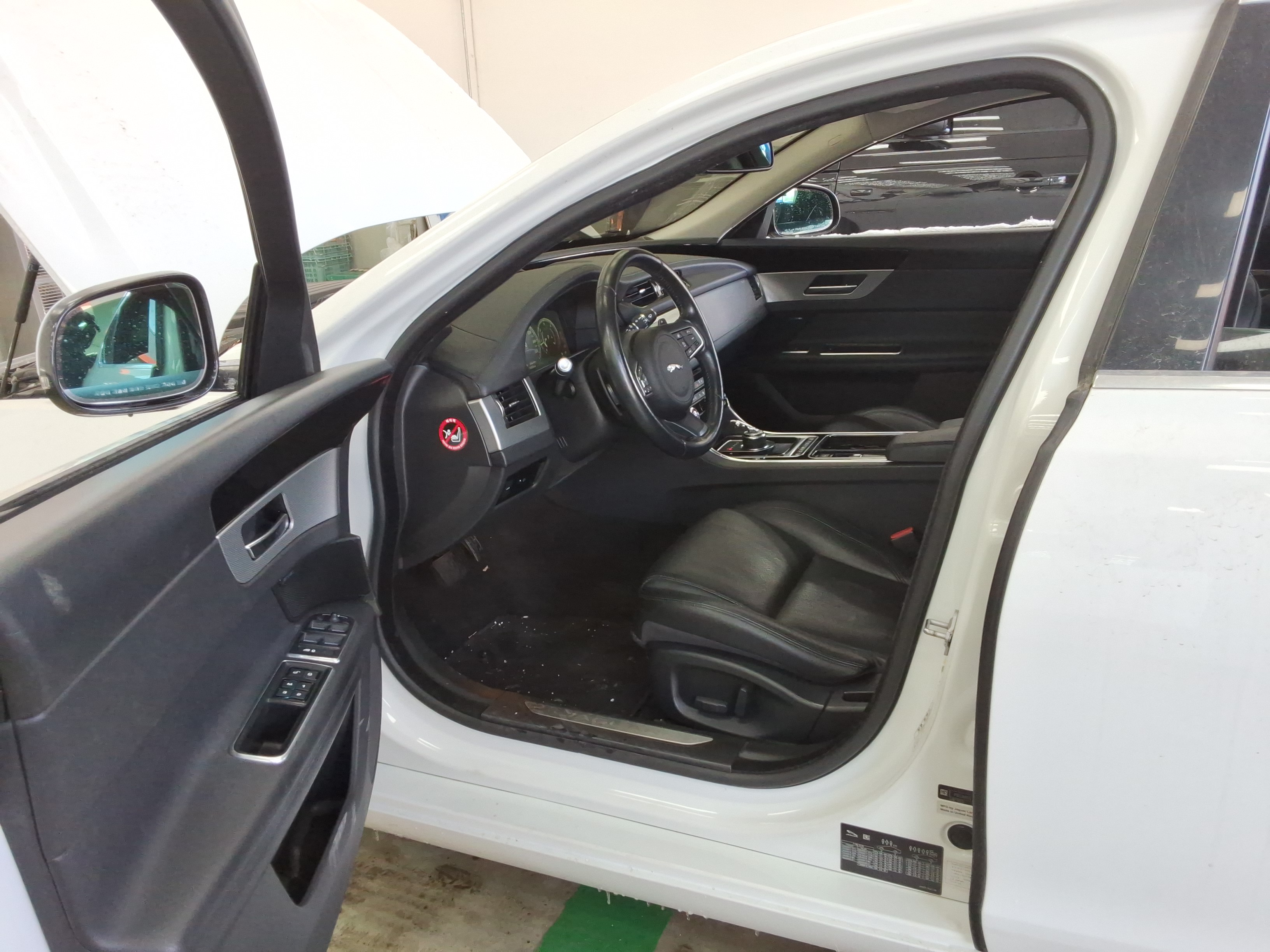 صورة إضافية