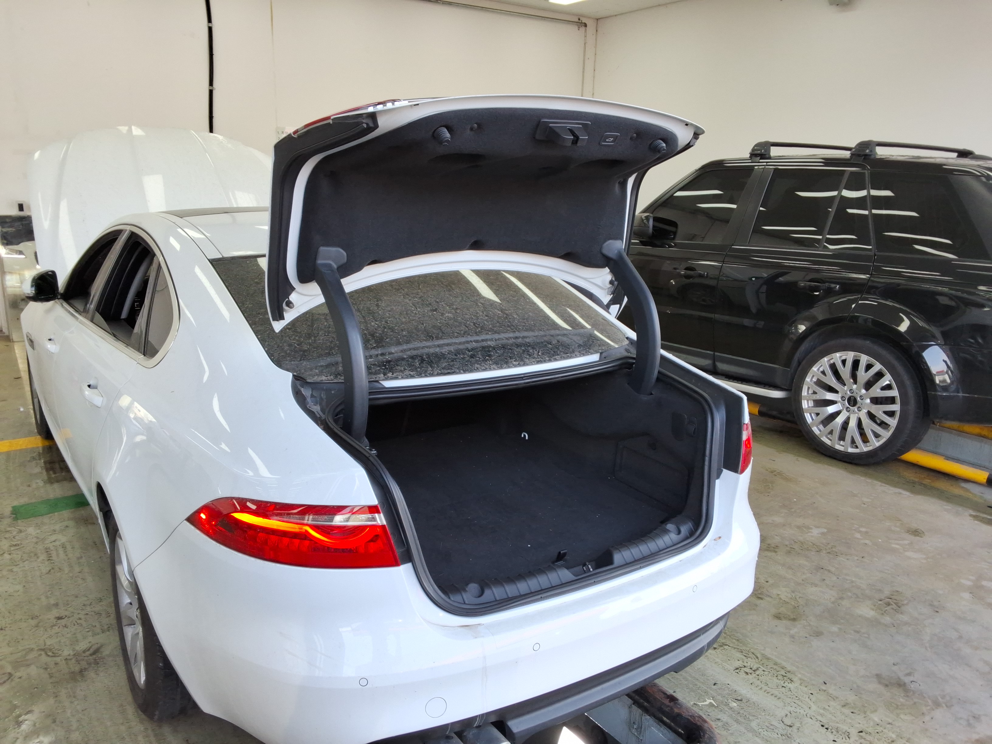 صورة إضافية