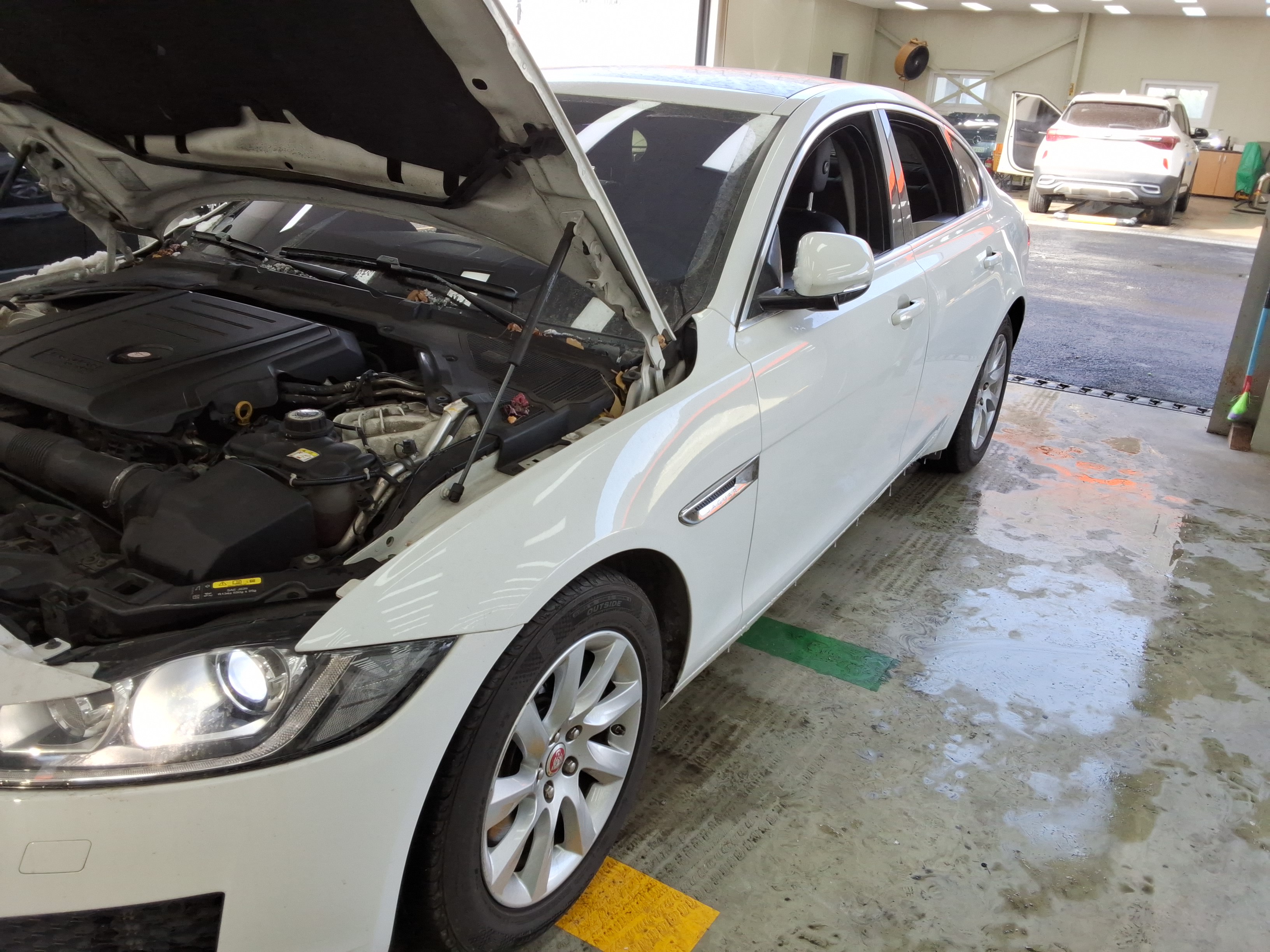 صورة إضافية