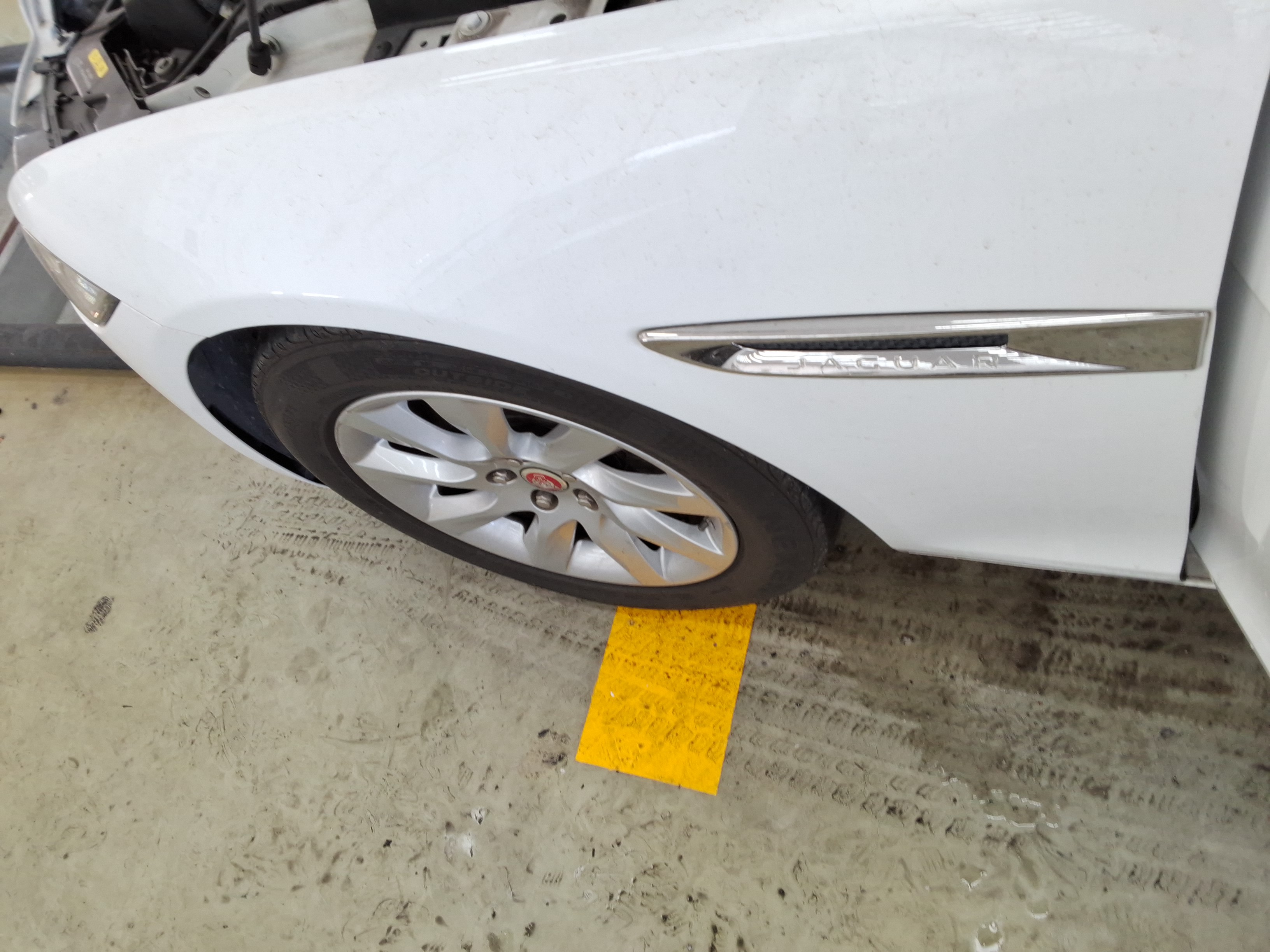 صورة إضافية