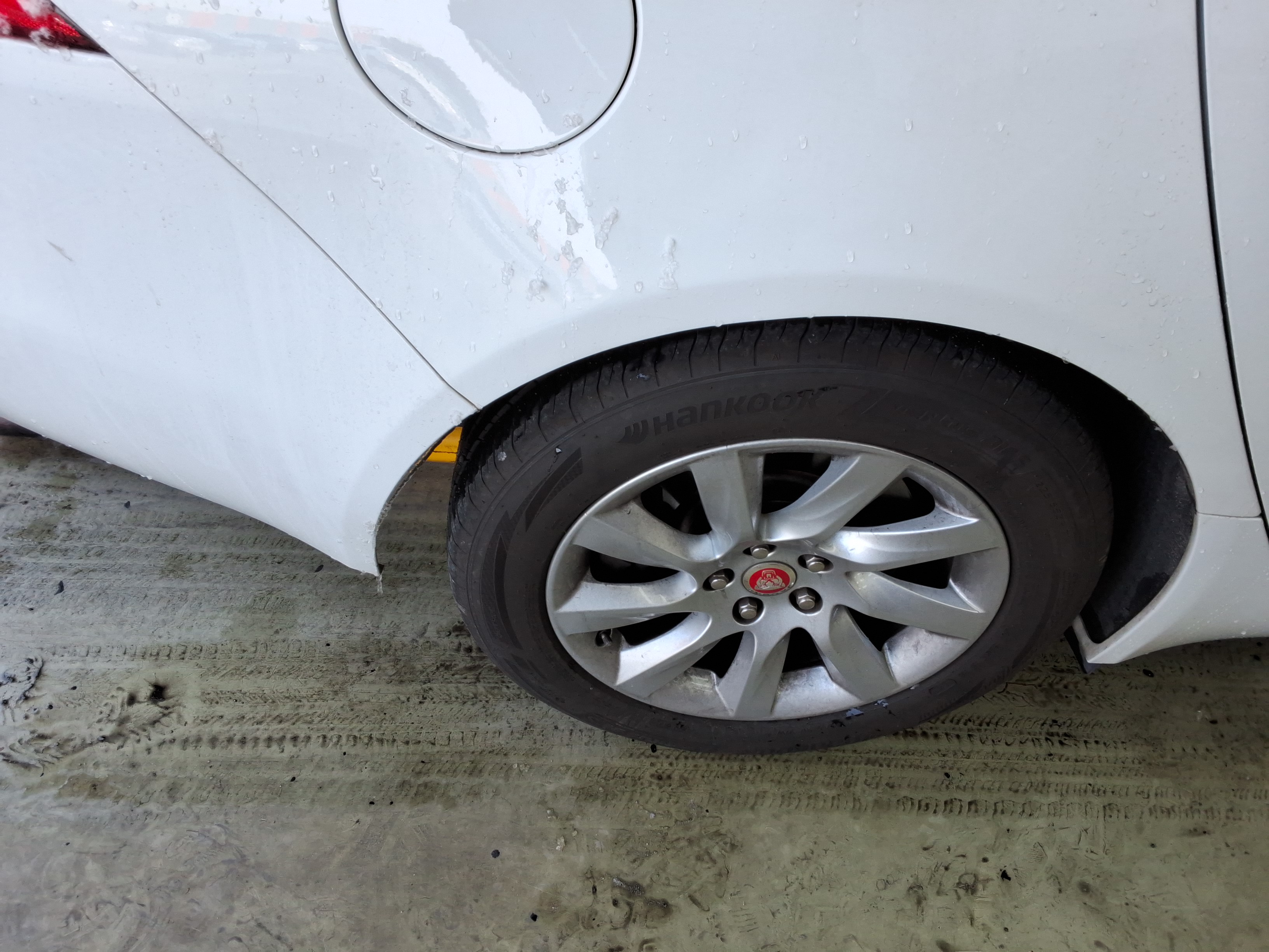 صورة إضافية