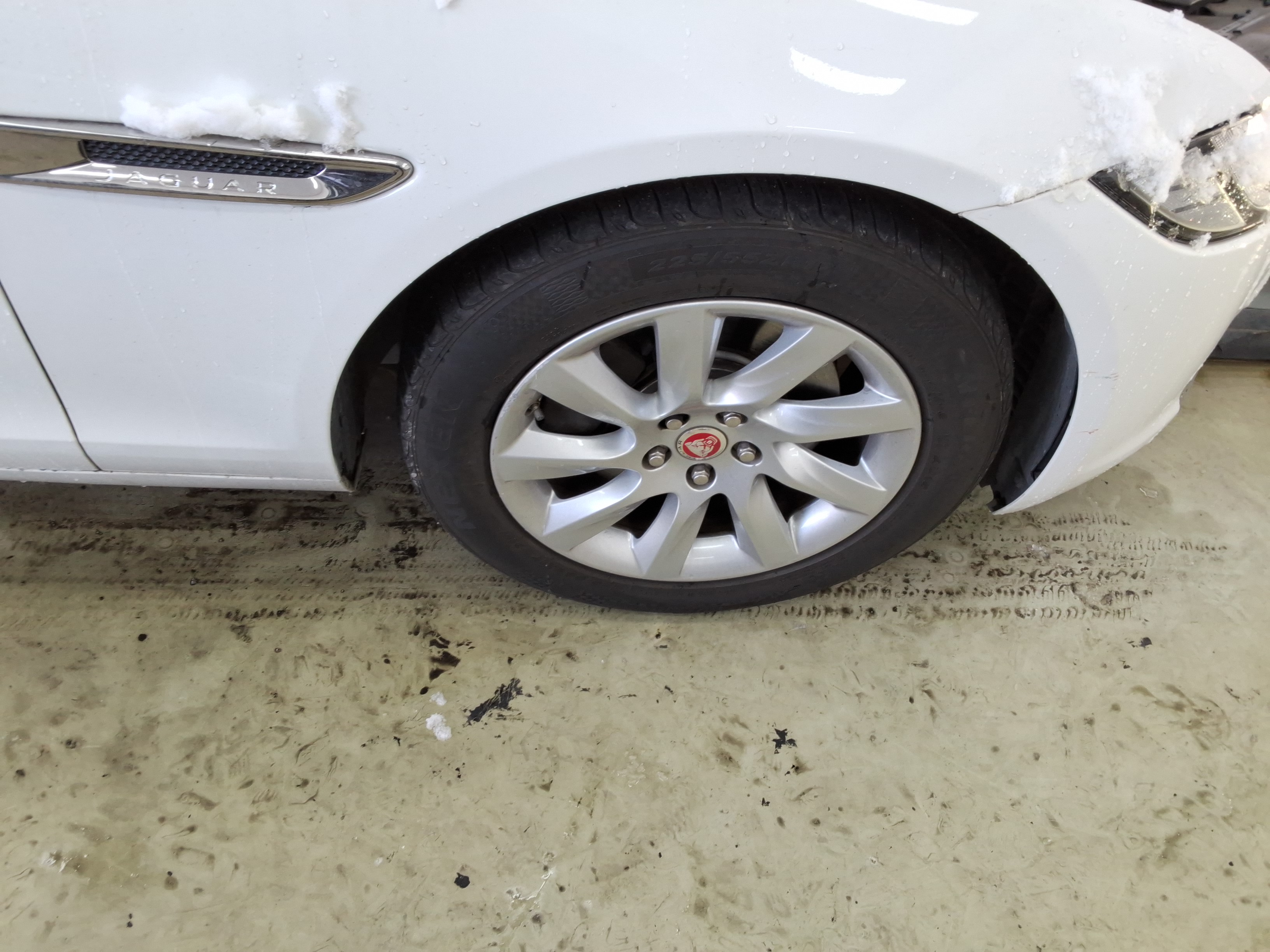 صورة إضافية