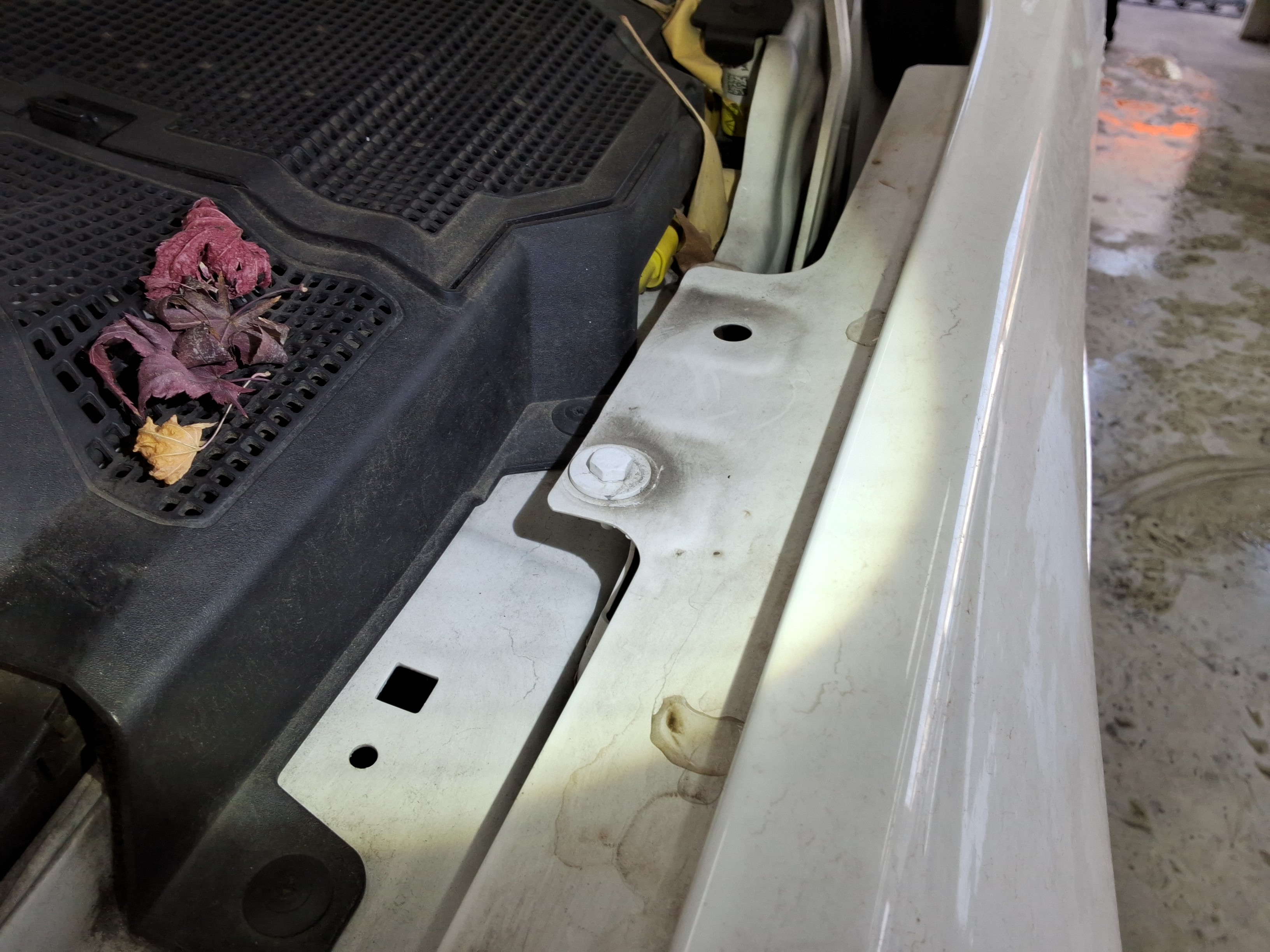 صورة إضافية