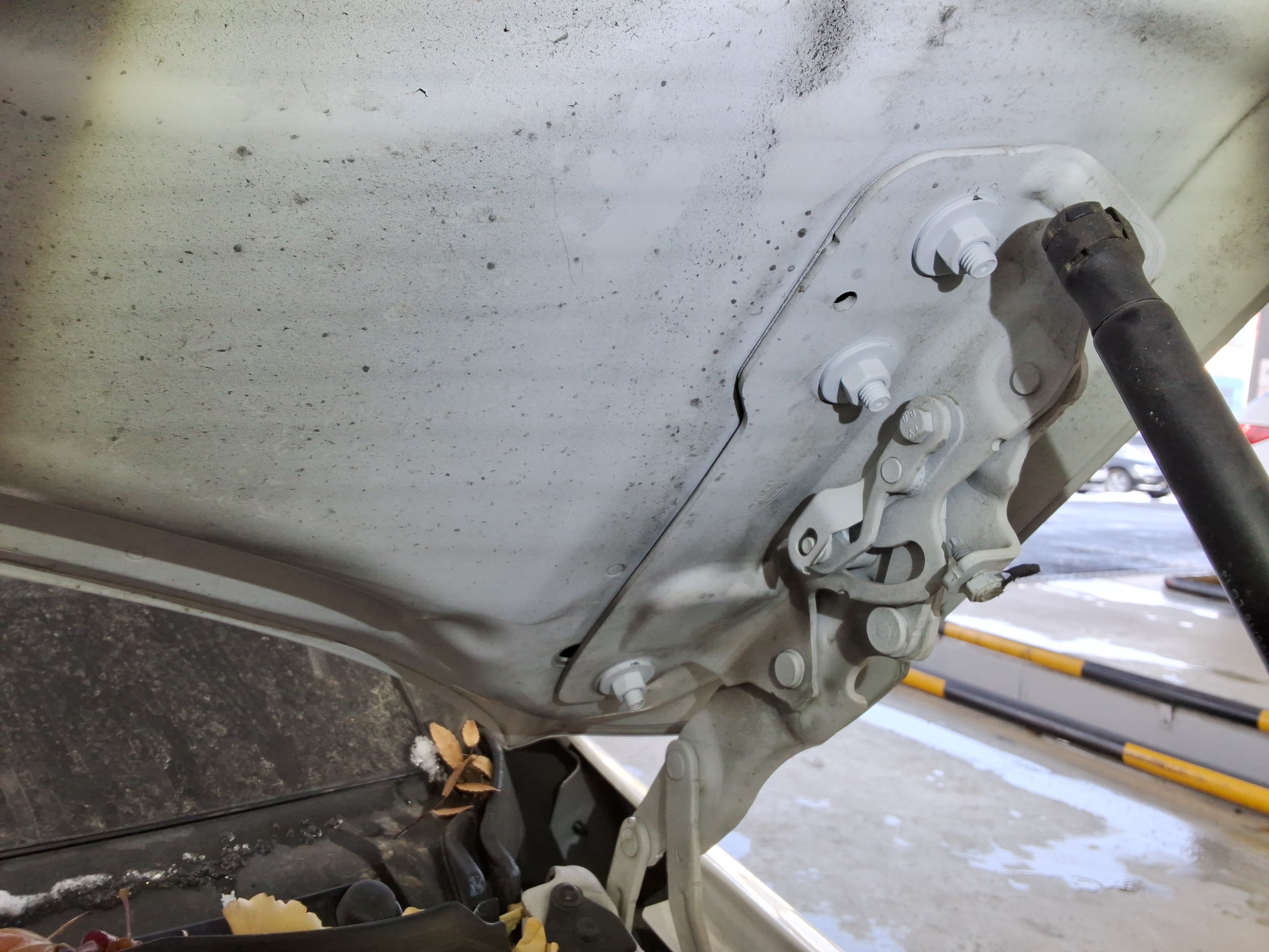 صورة إضافية