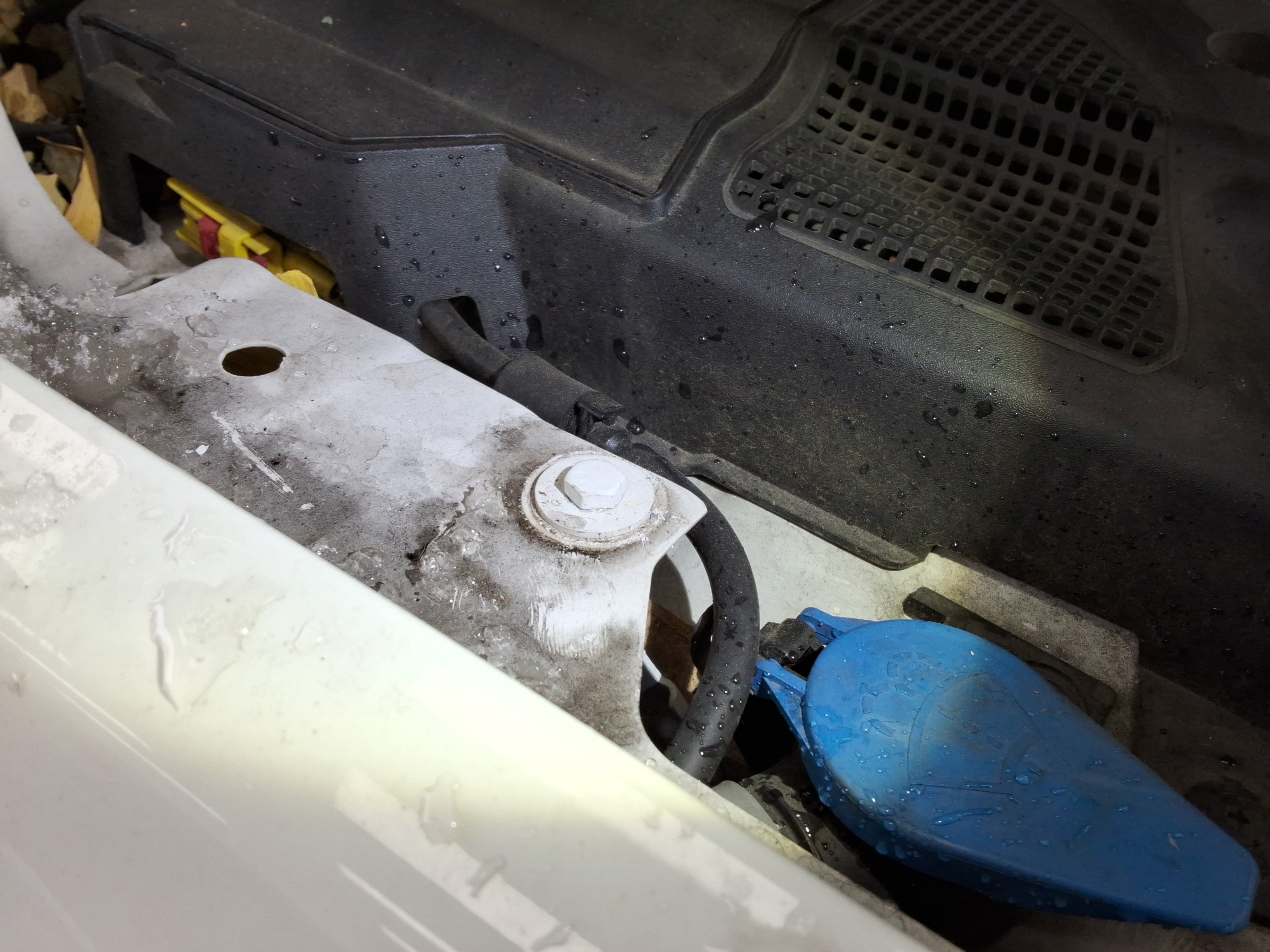 صورة إضافية