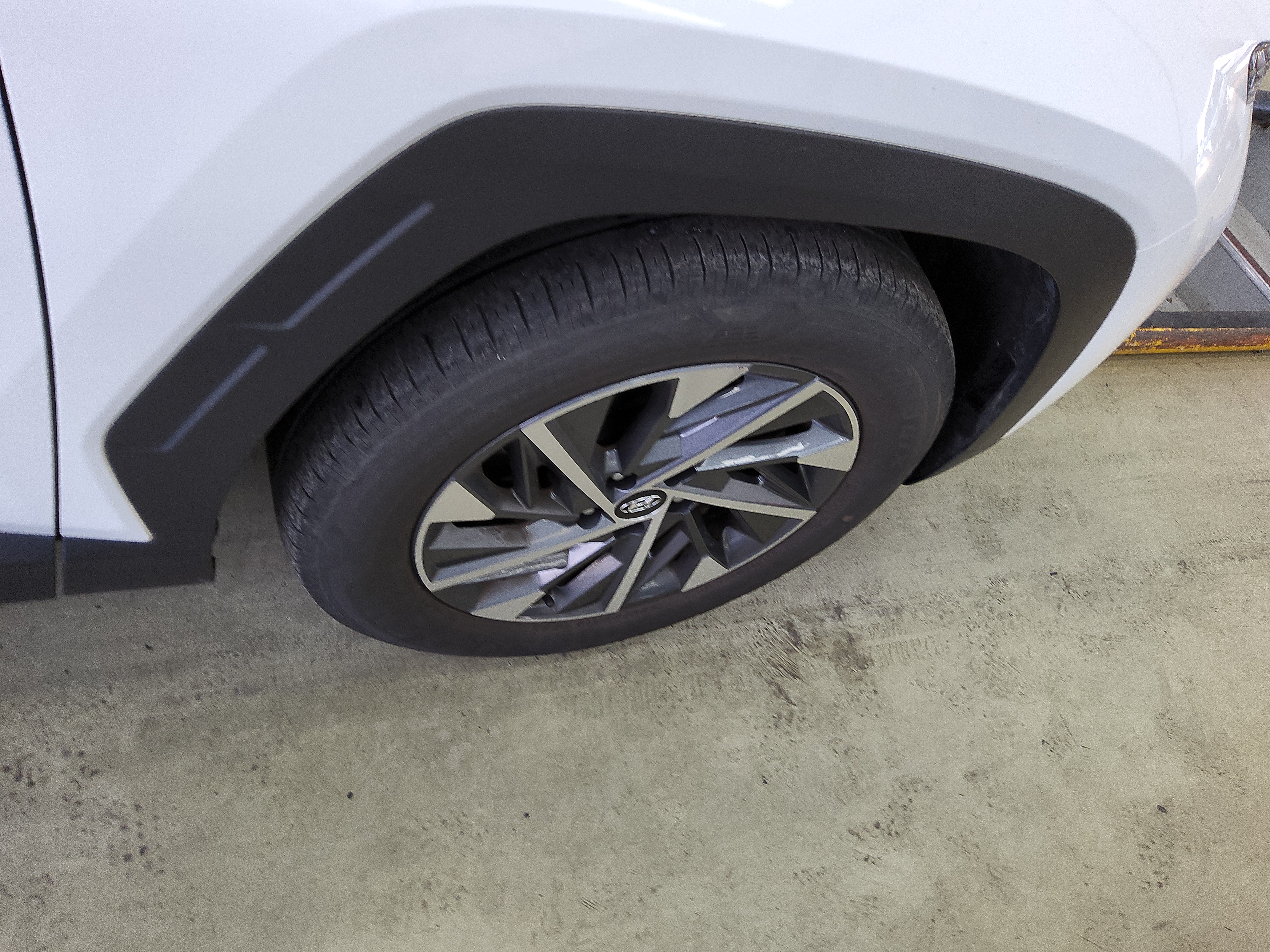 صورة إضافية