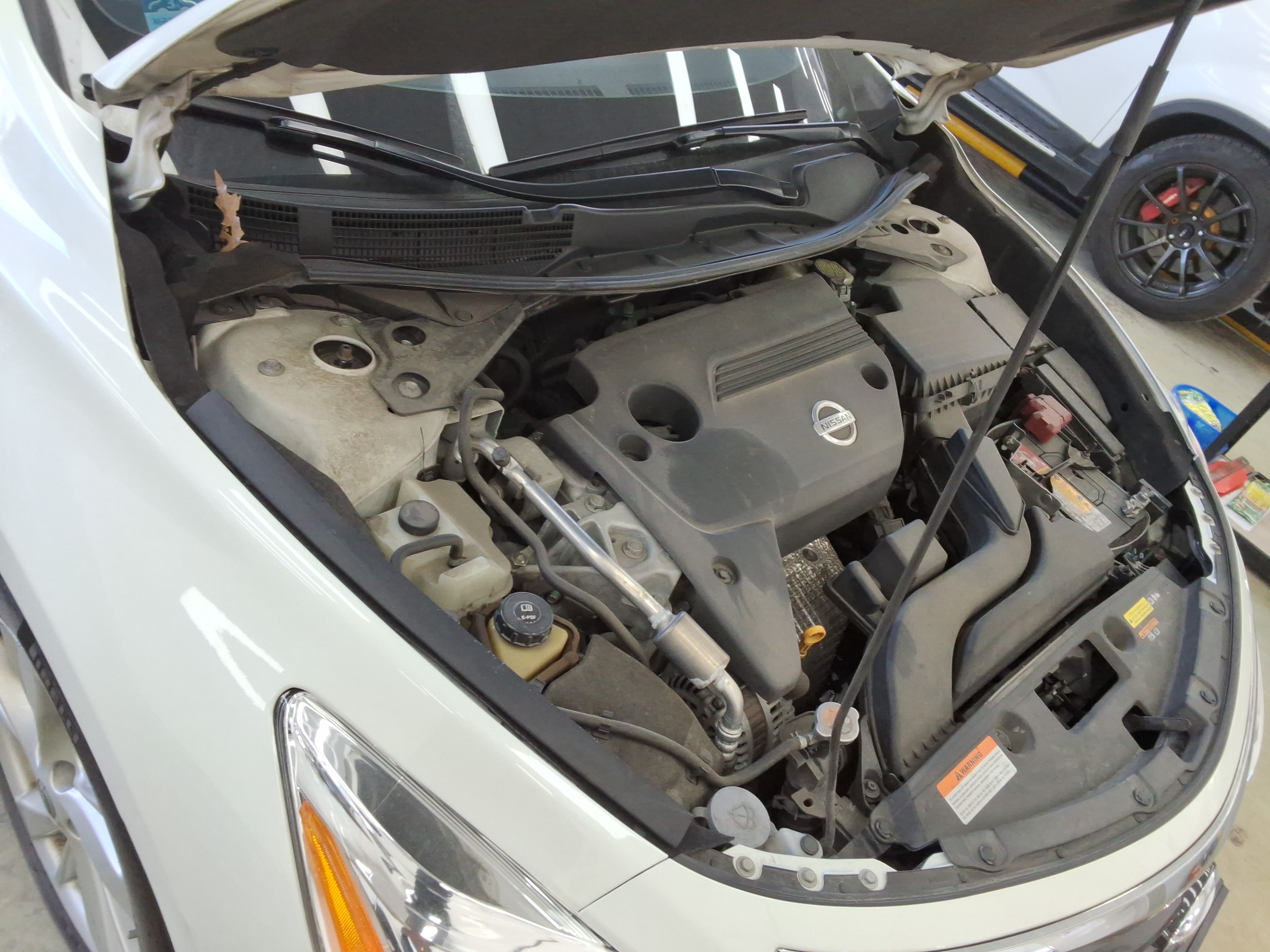 صورة إضافية