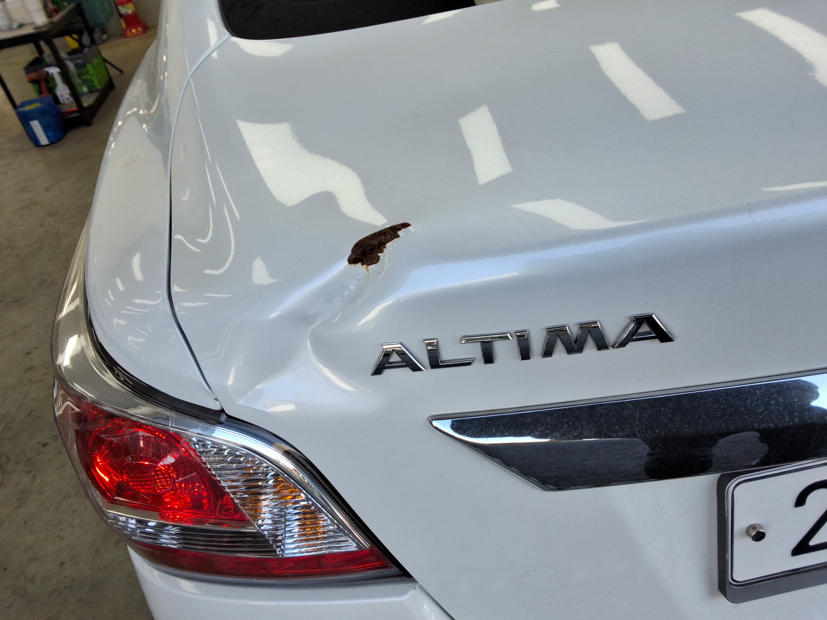 صورة إضافية