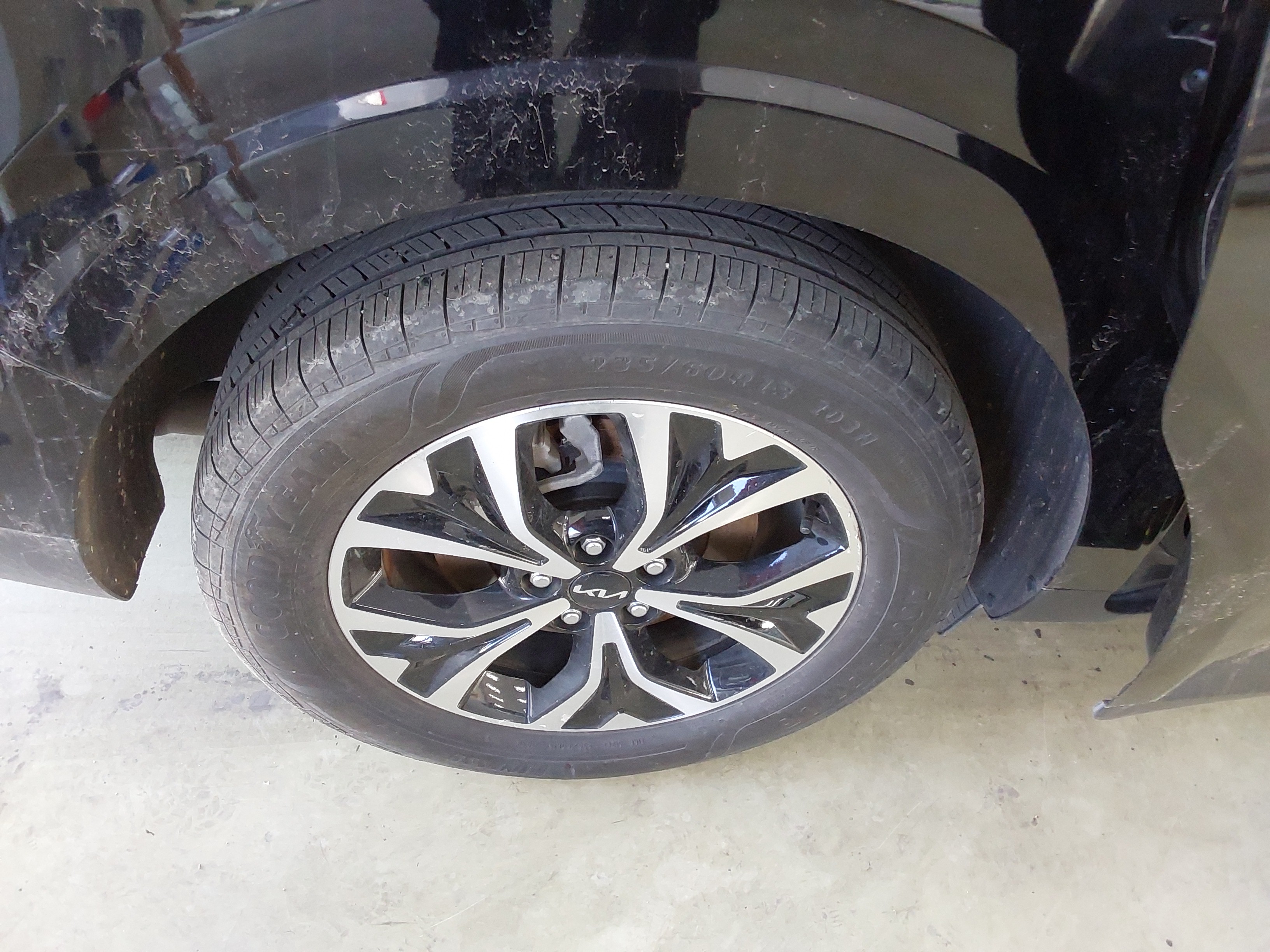 صورة إضافية