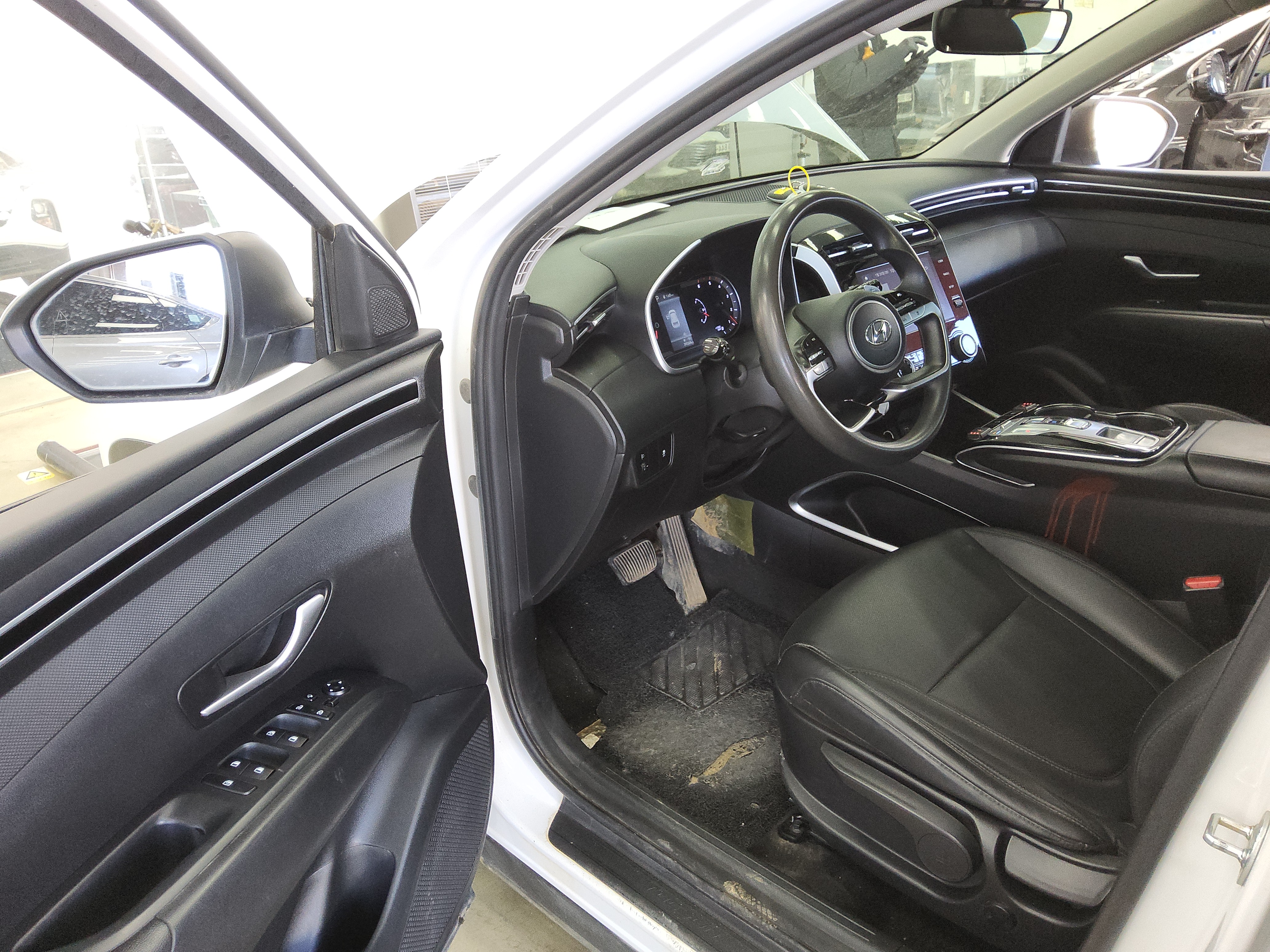 صورة إضافية