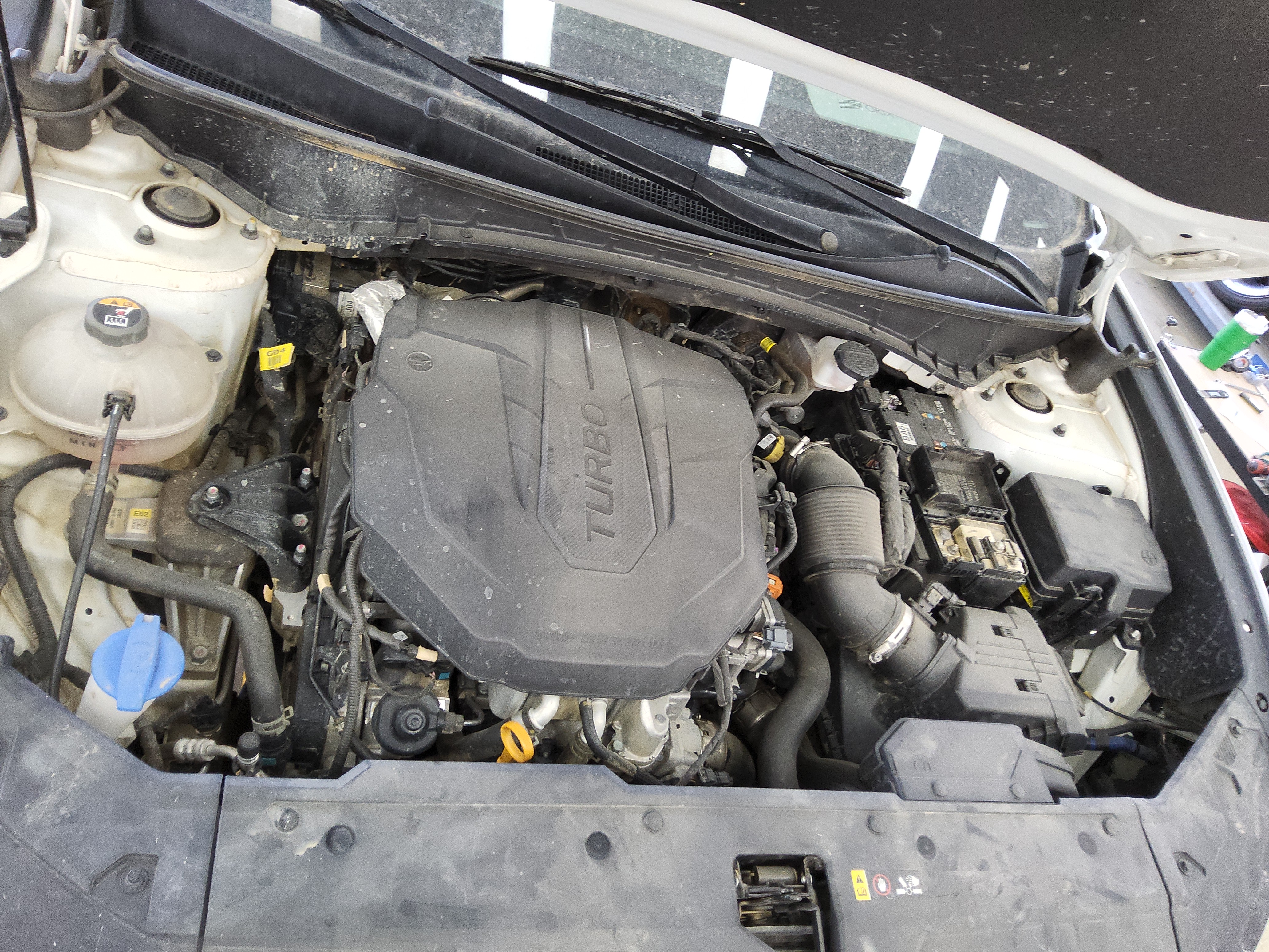 صورة إضافية