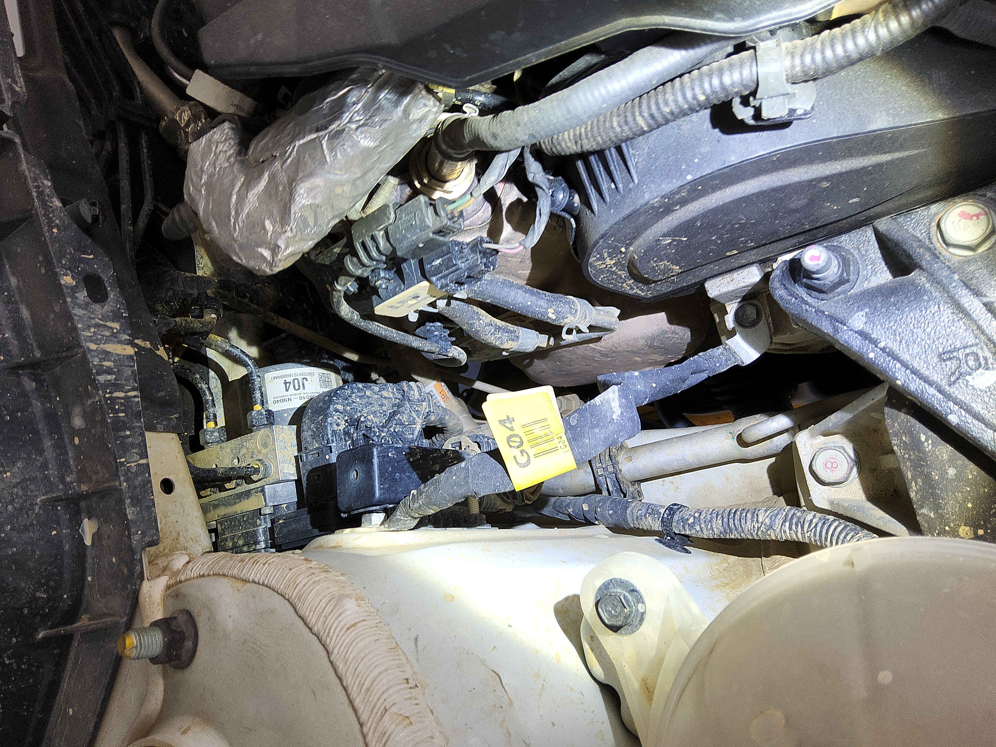 صورة إضافية