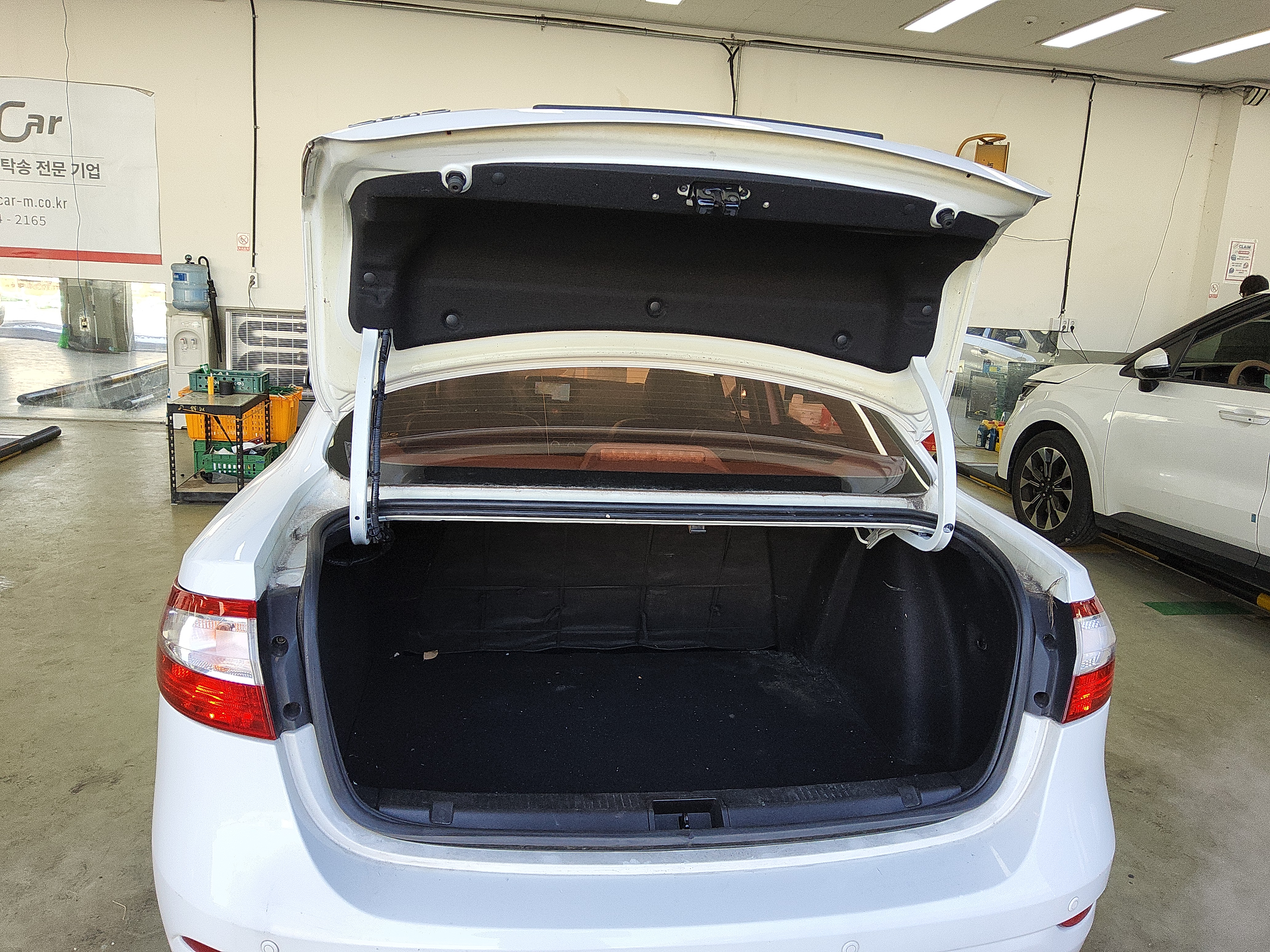 صورة إضافية