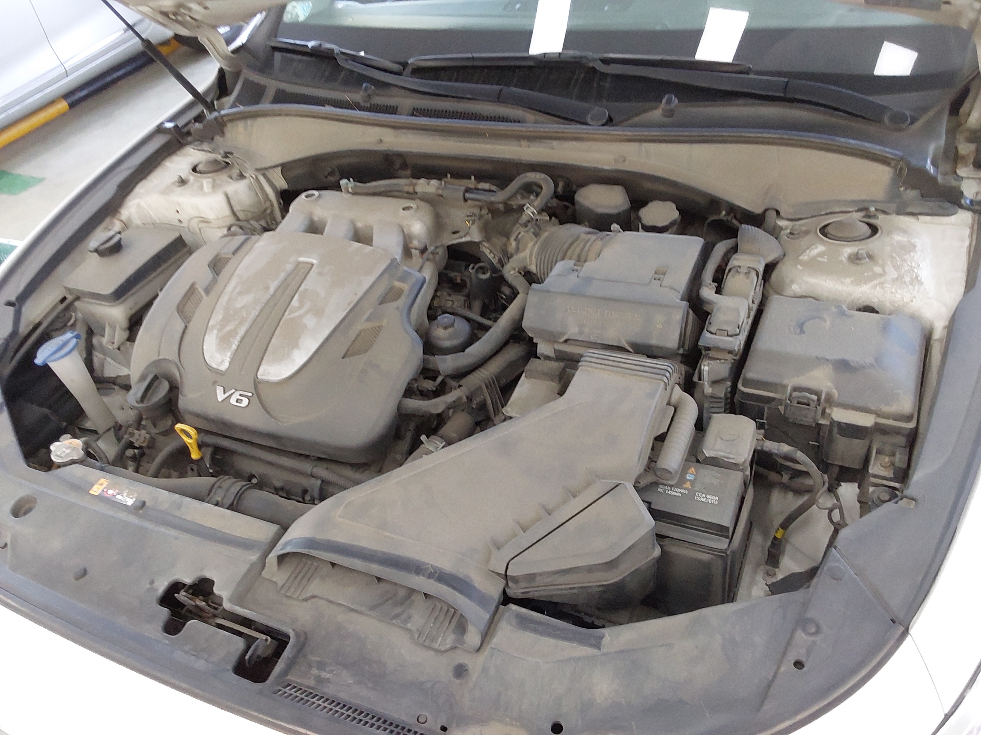 صورة إضافية