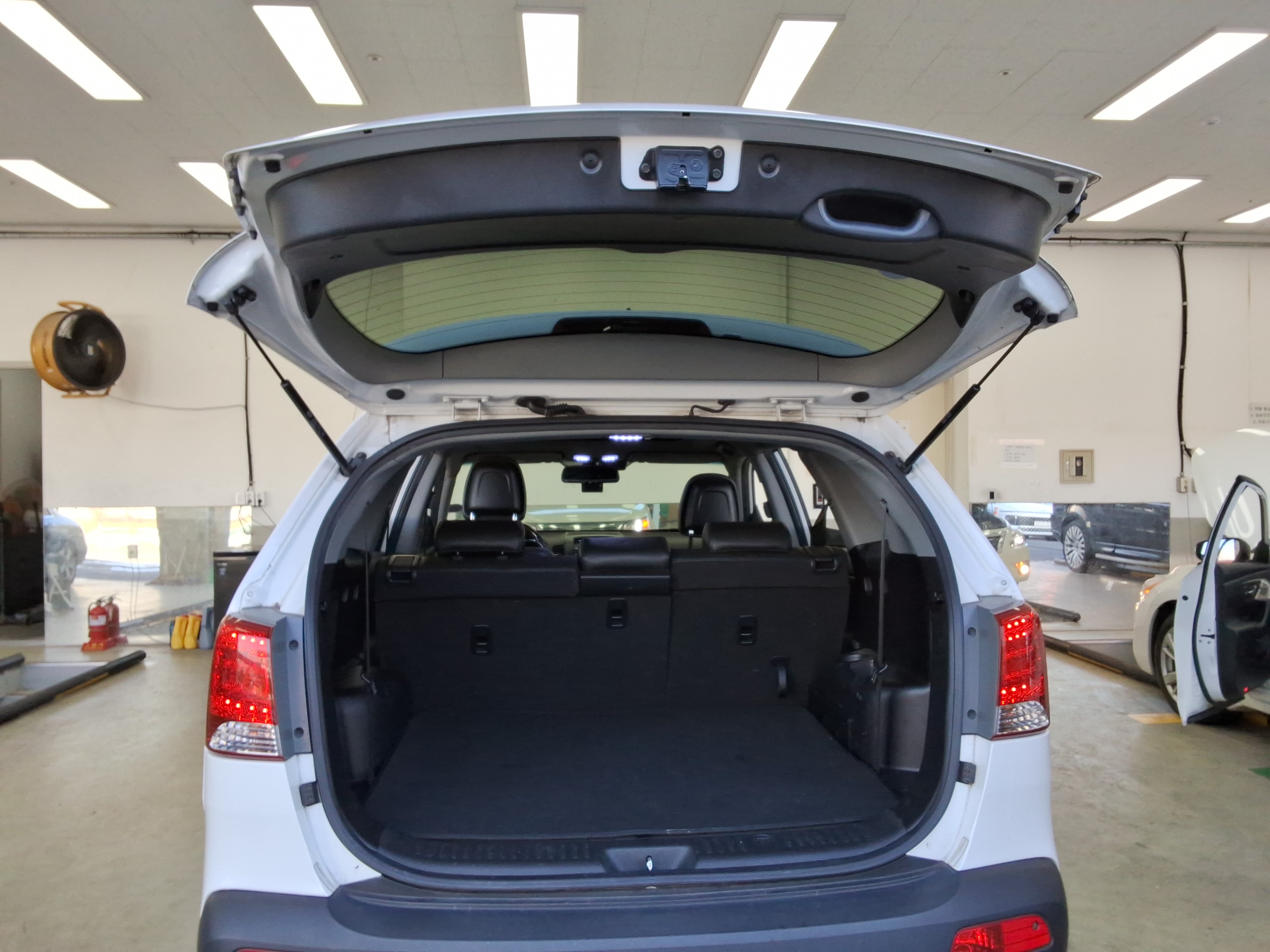 صورة إضافية