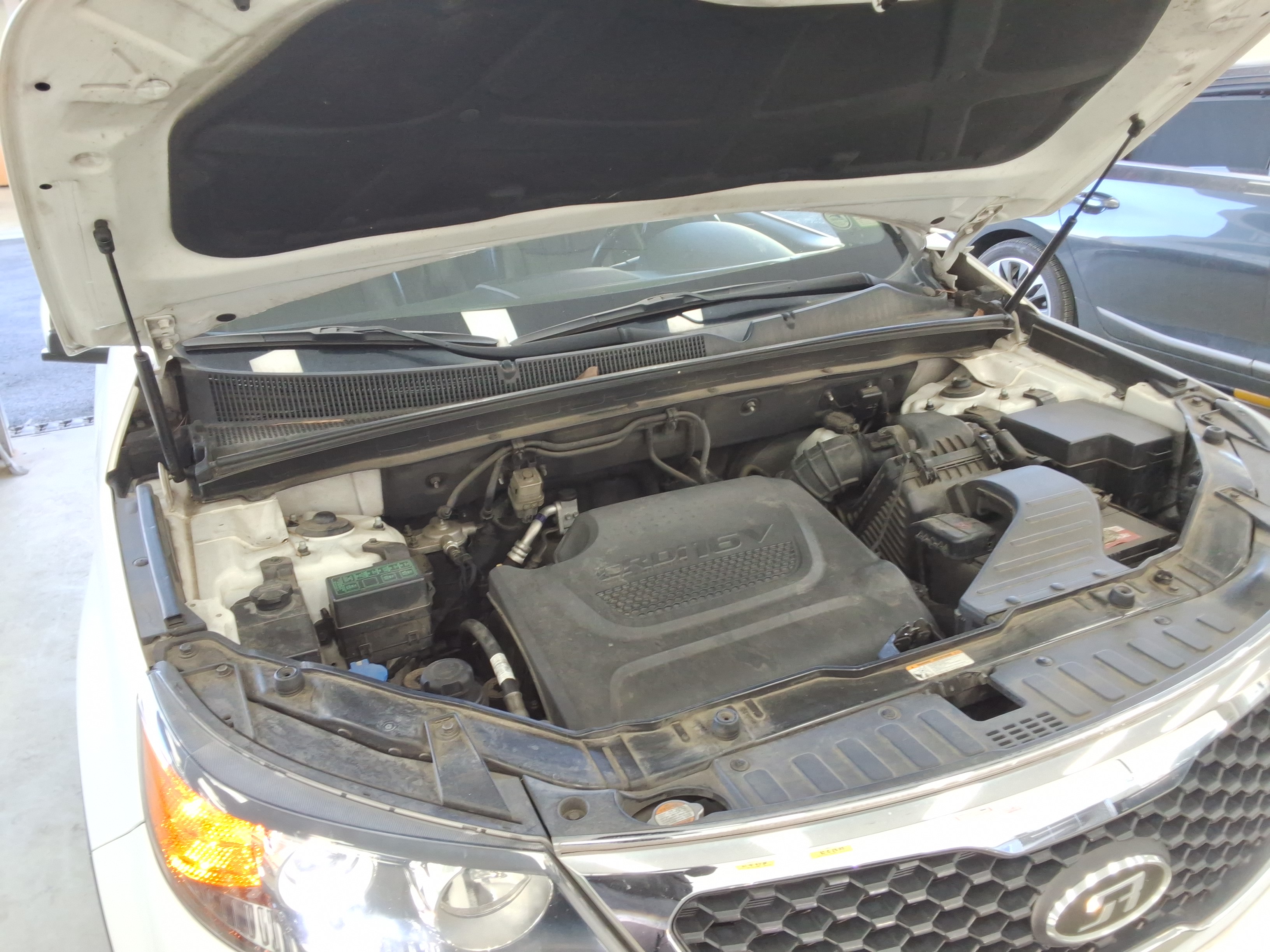 صورة إضافية