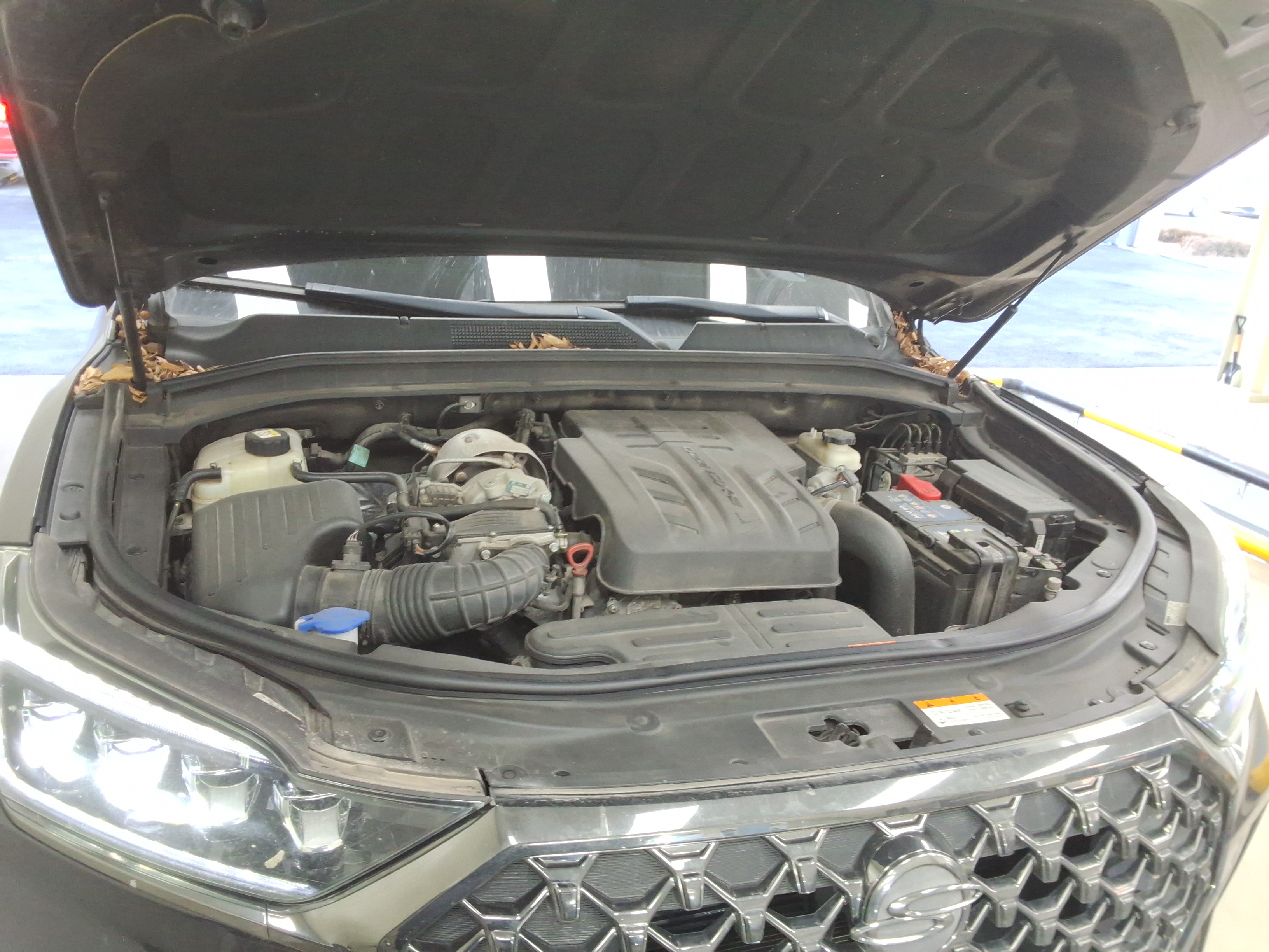 صورة إضافية