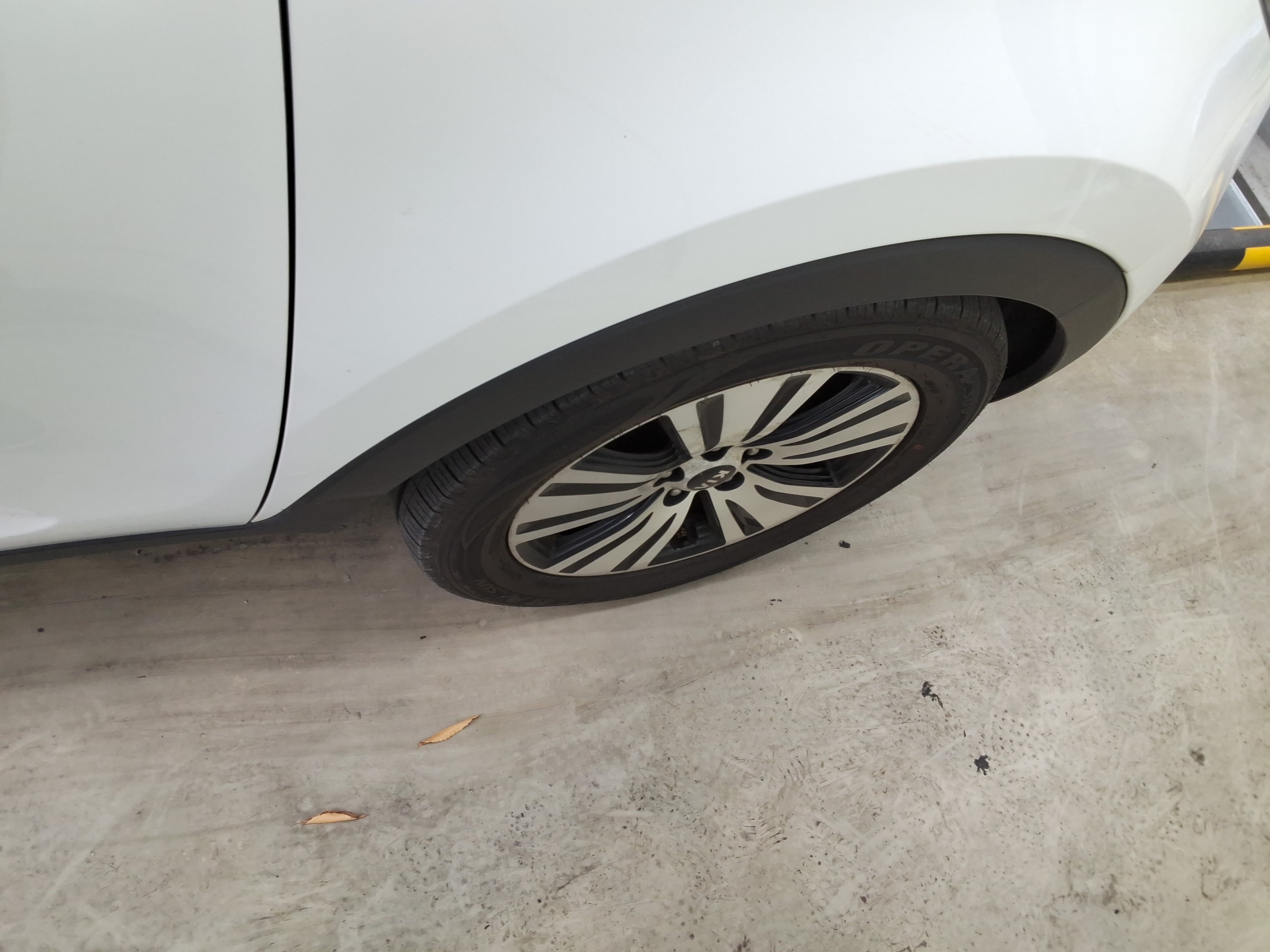 صورة إضافية