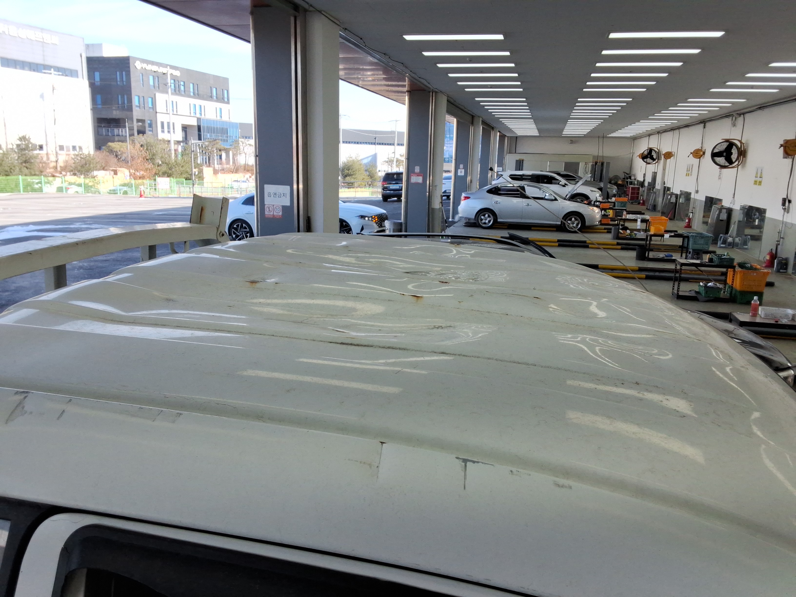 صورة إضافية