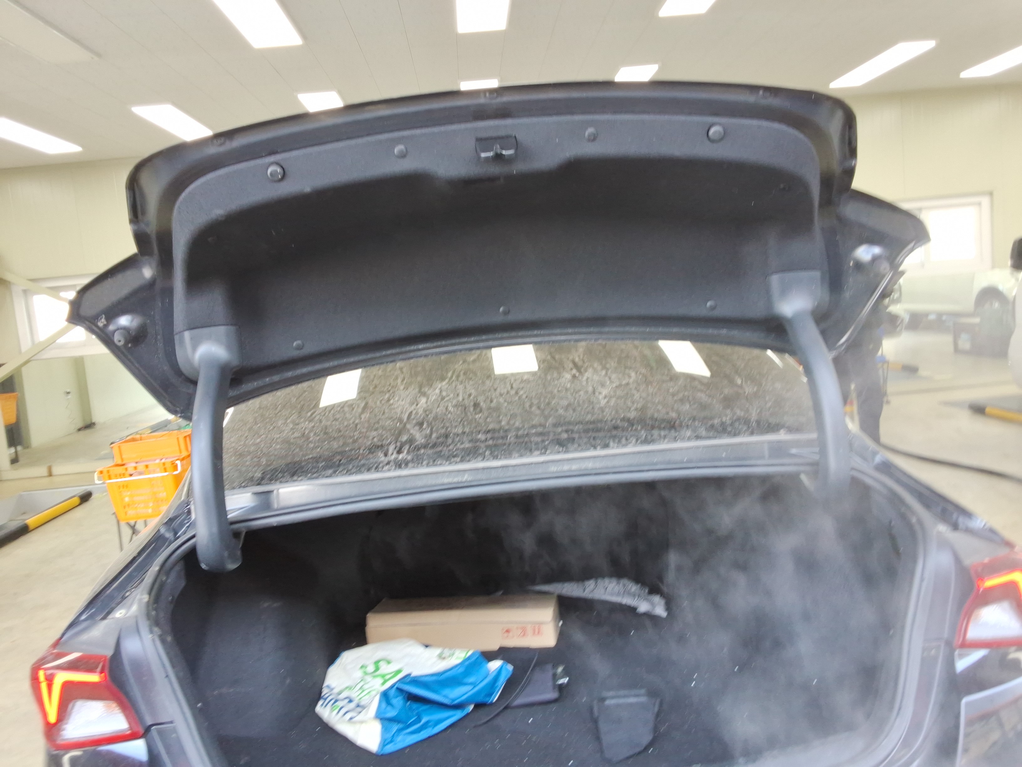 صورة إضافية