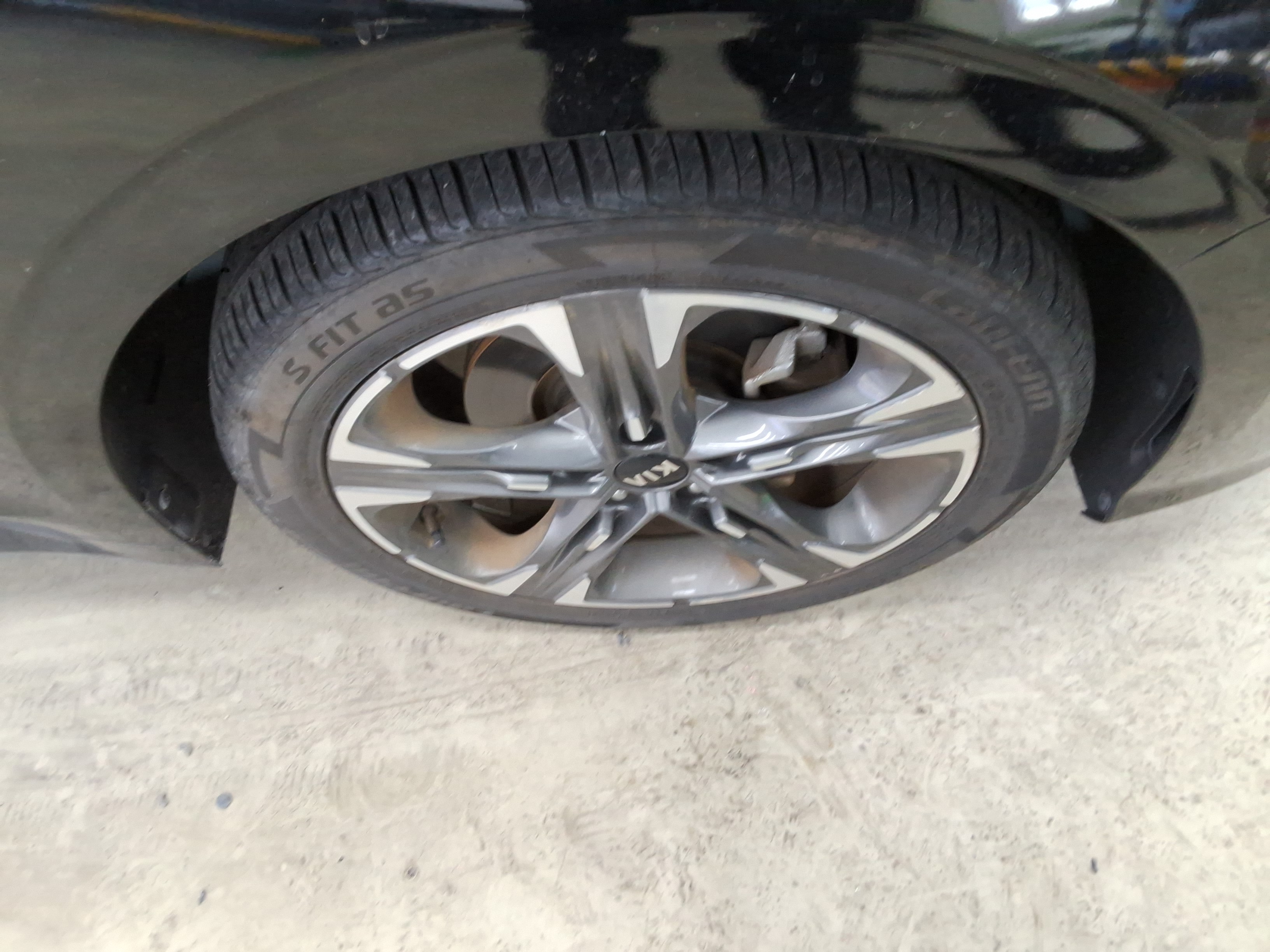 صورة إضافية