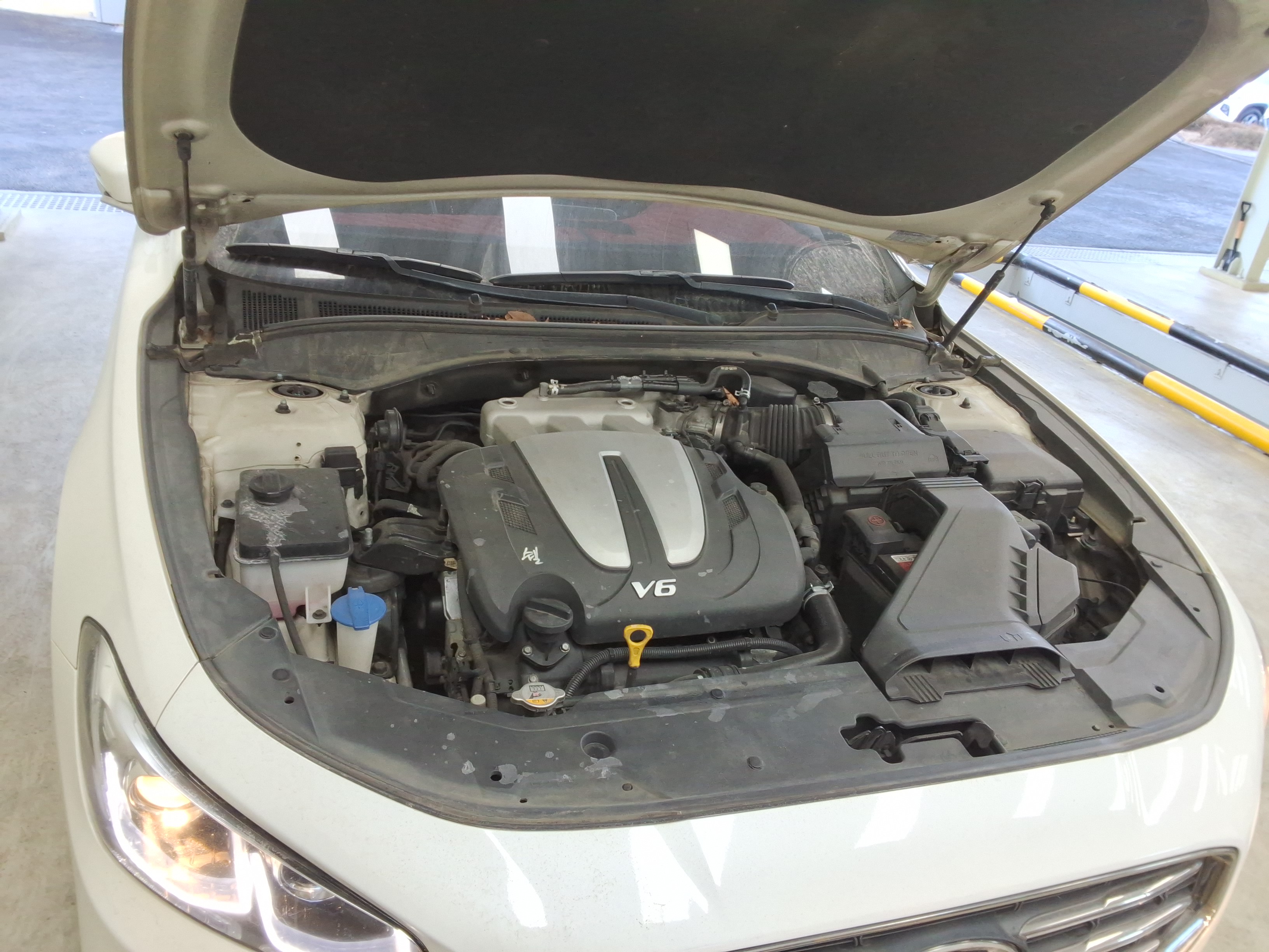 صورة إضافية