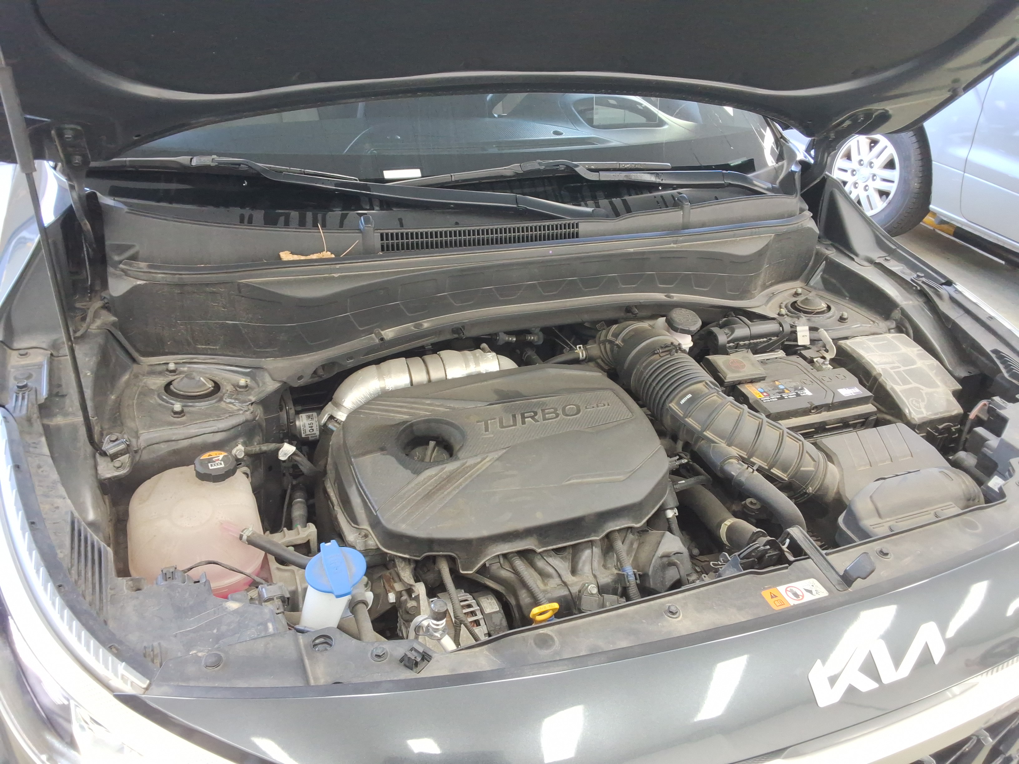 صورة إضافية