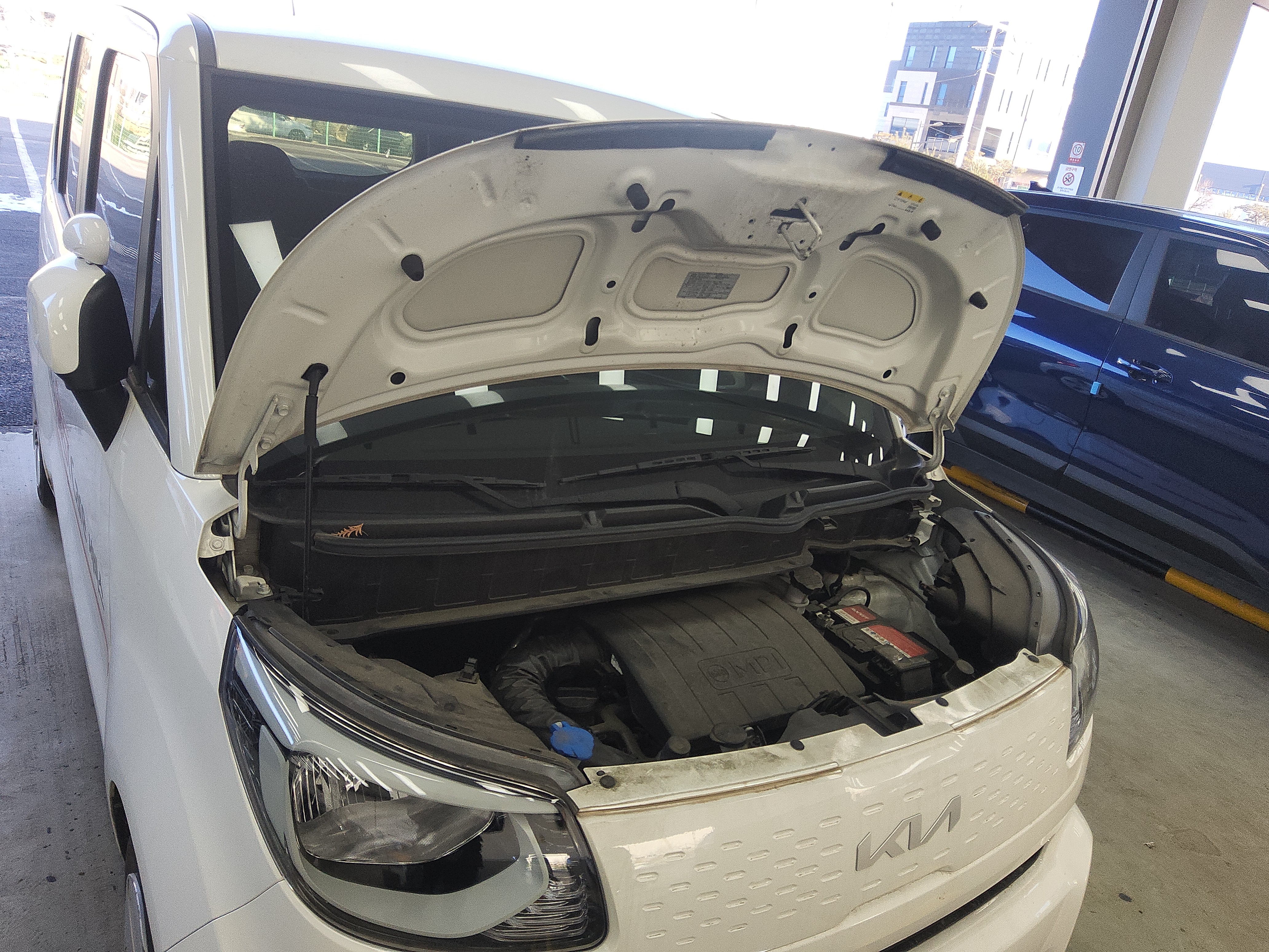 صورة إضافية