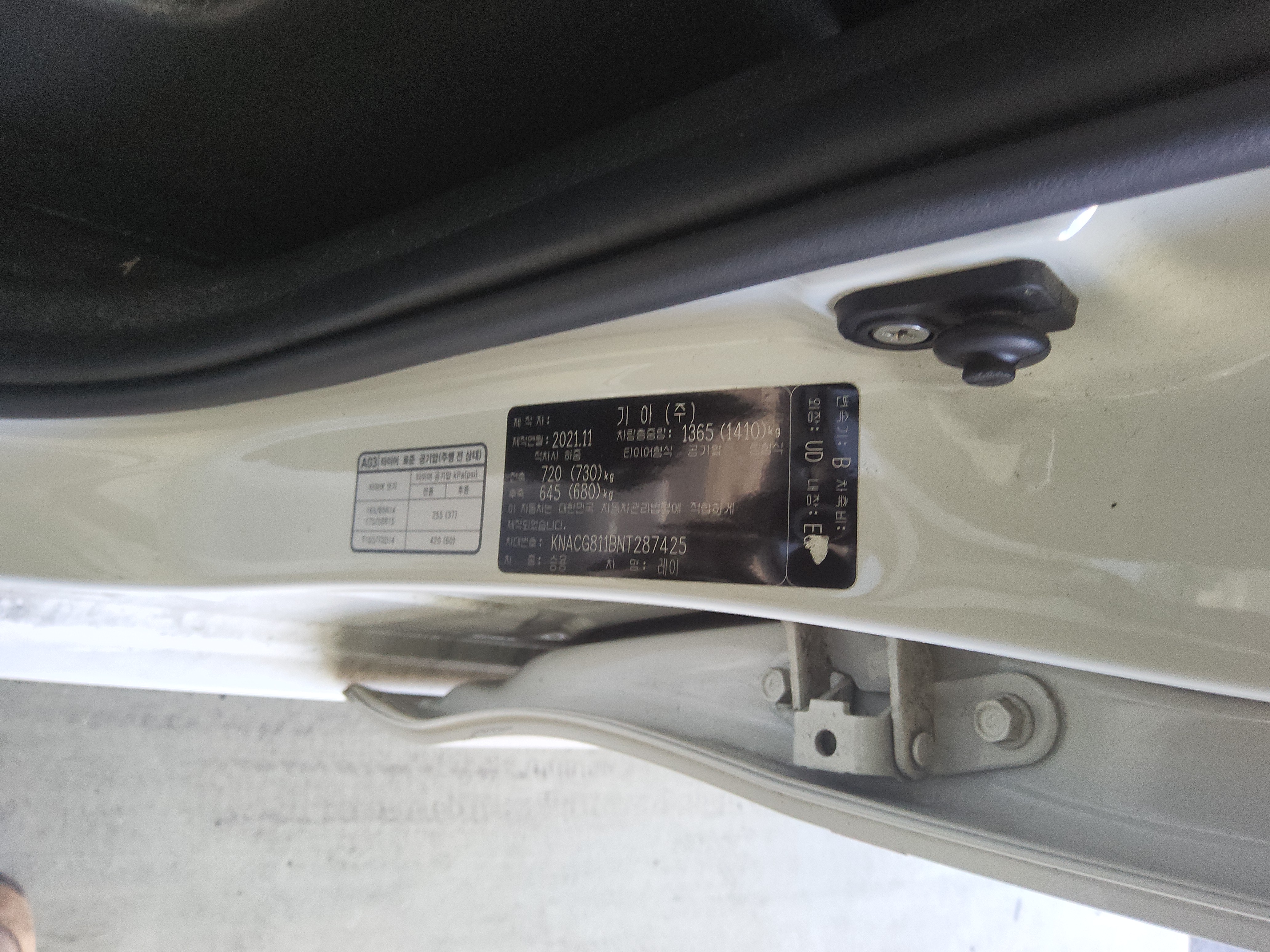 صورة إضافية