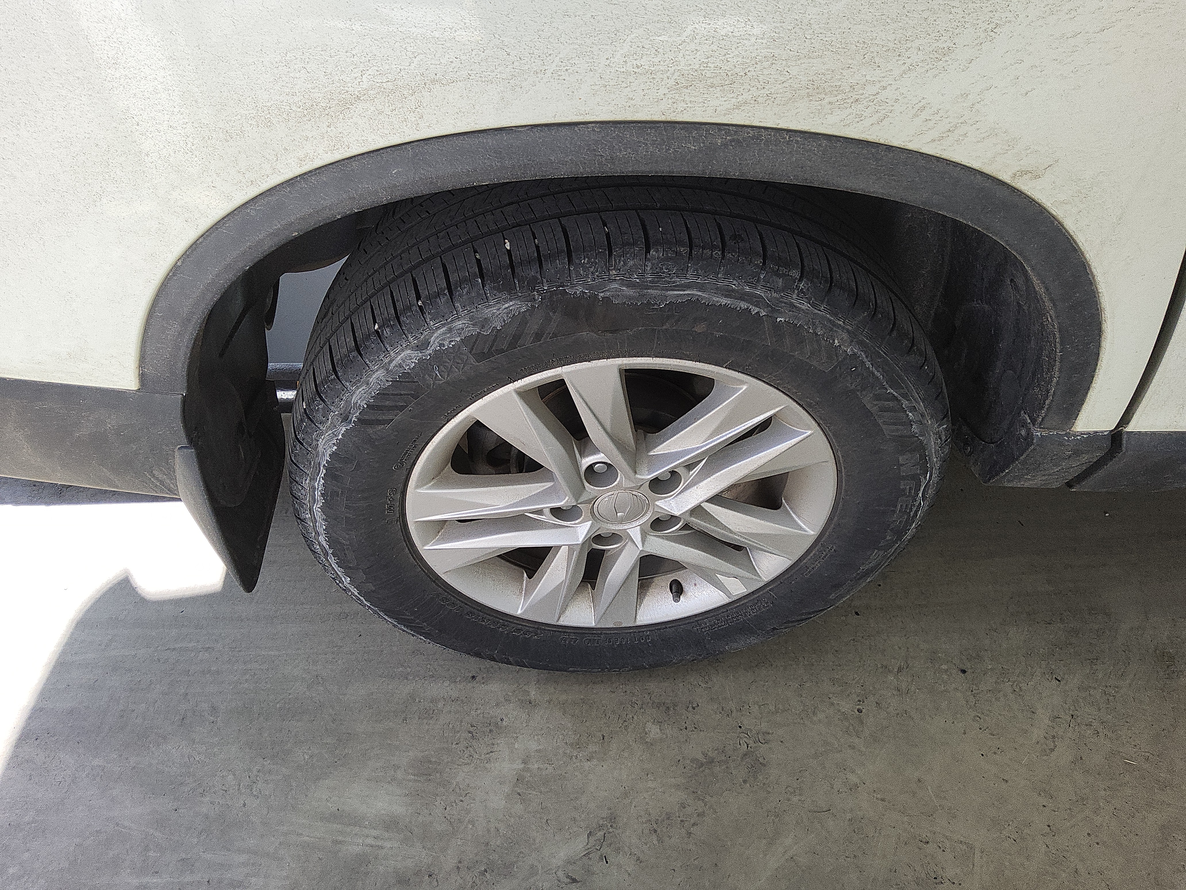 صورة إضافية