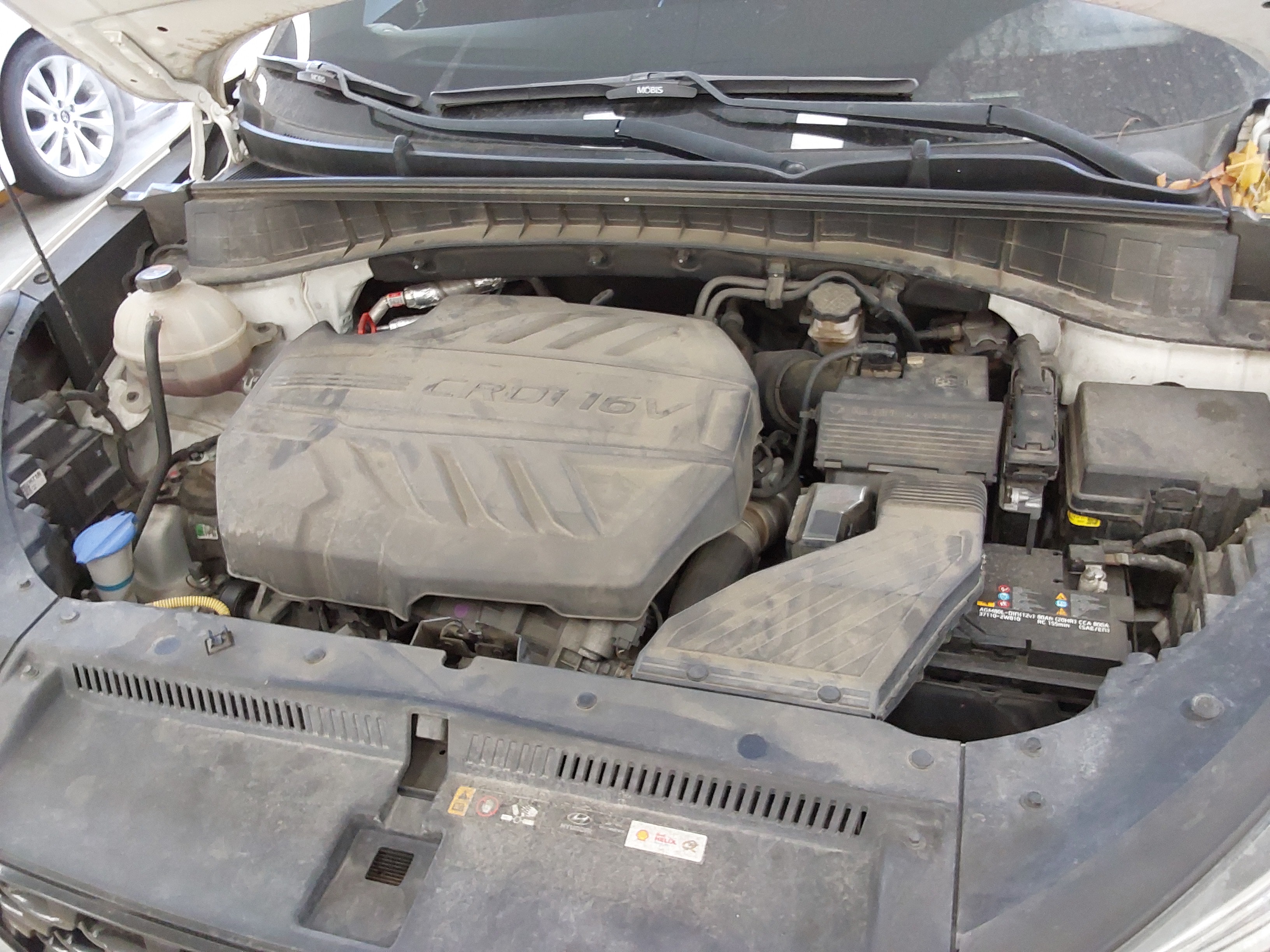 صورة إضافية