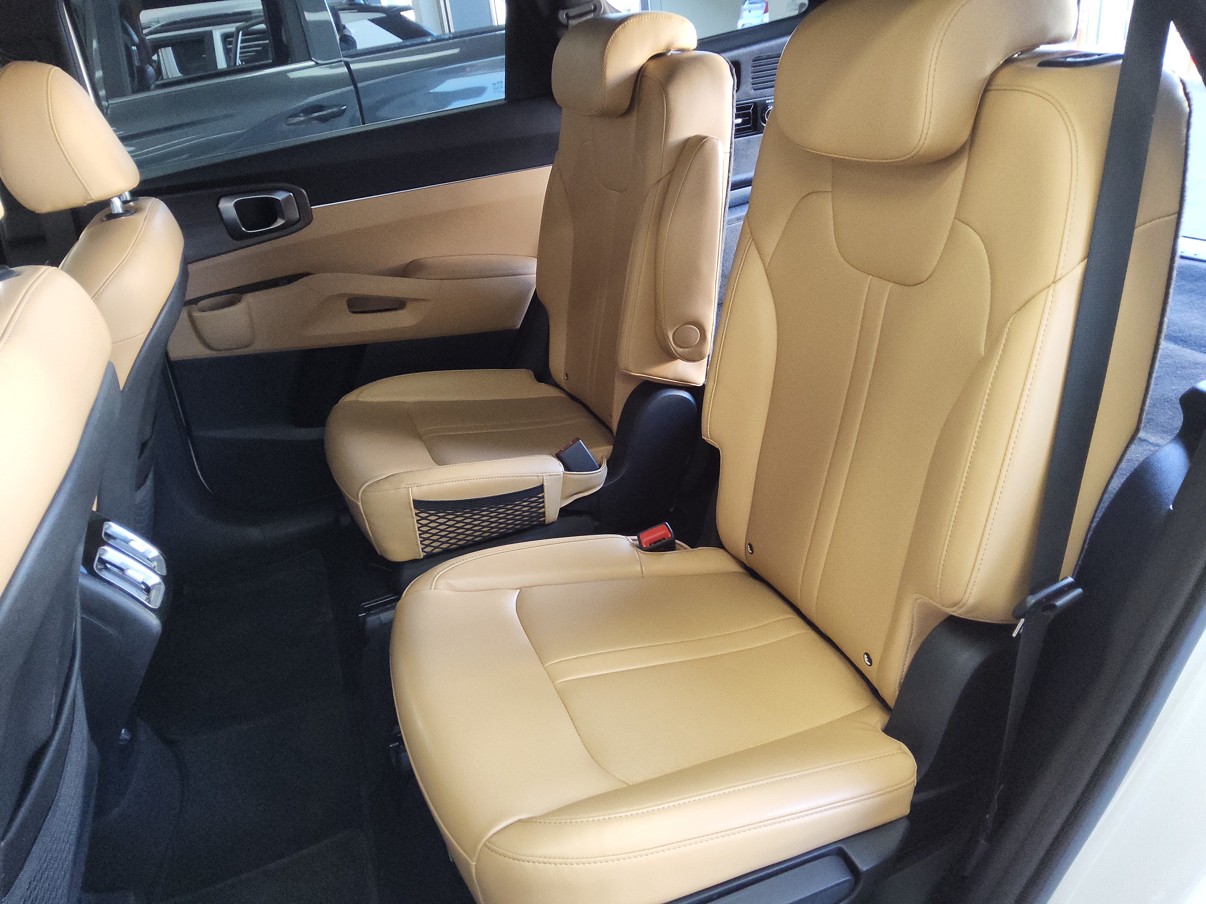 صورة إضافية