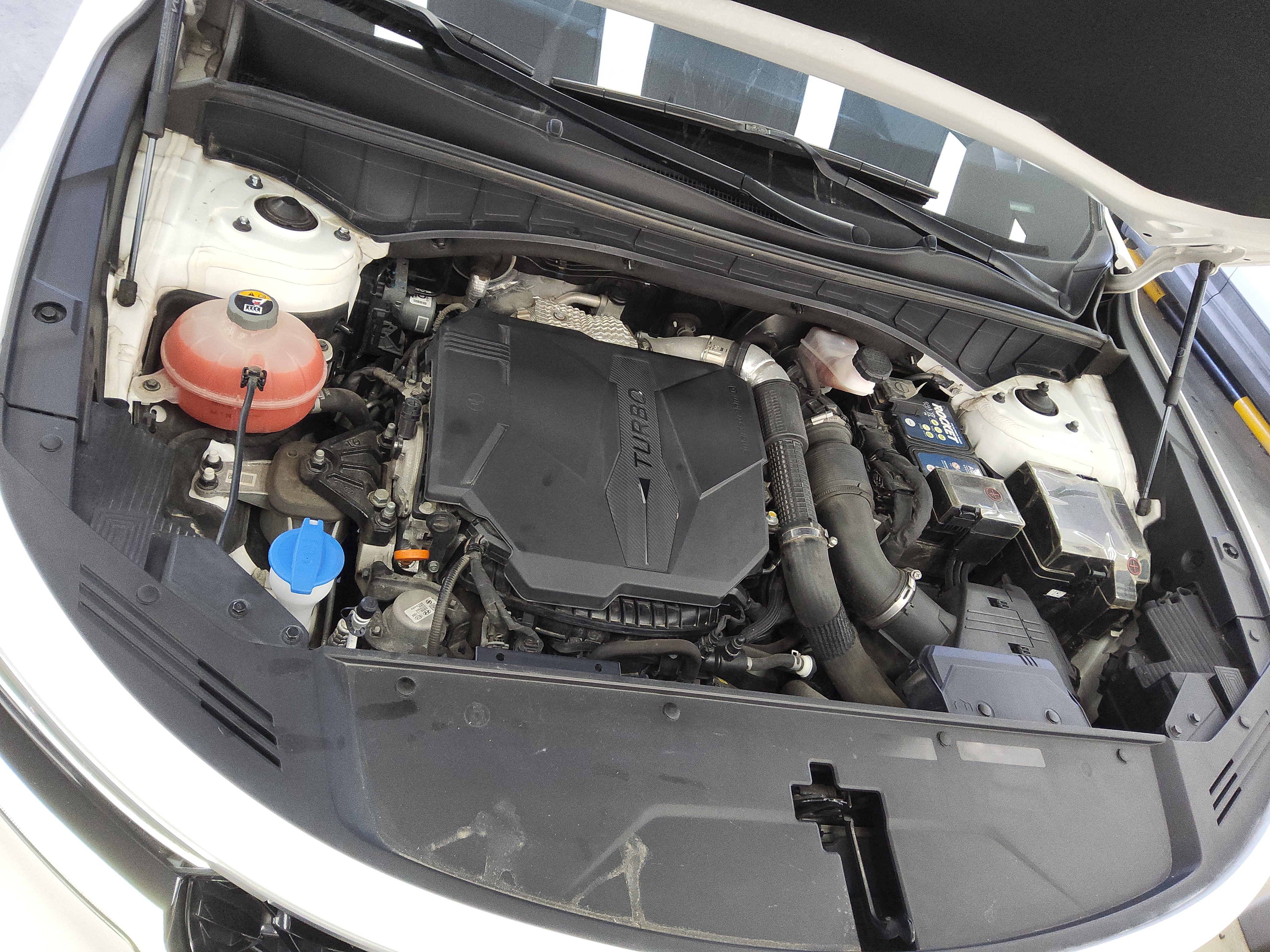 صورة إضافية