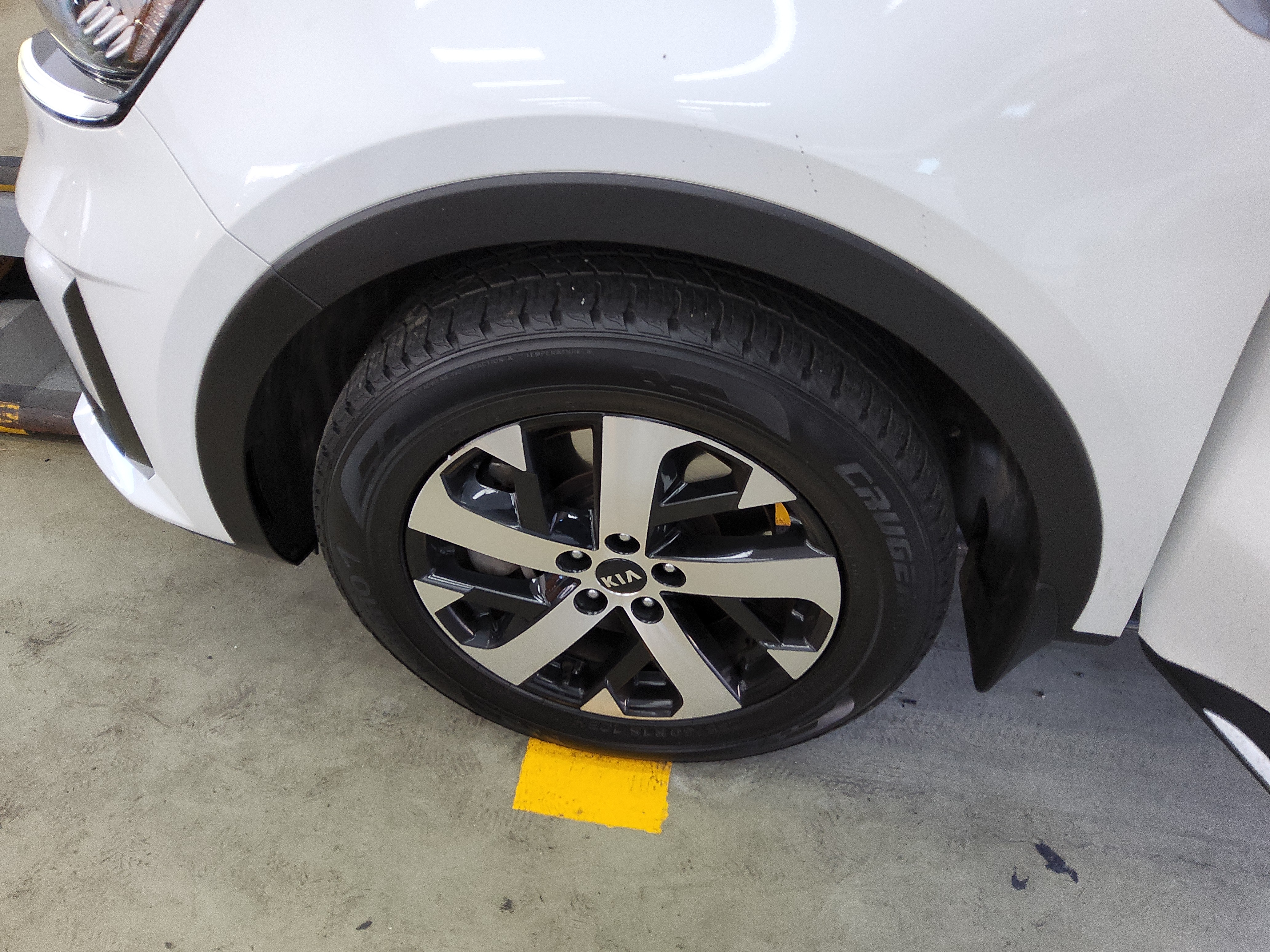 صورة إضافية