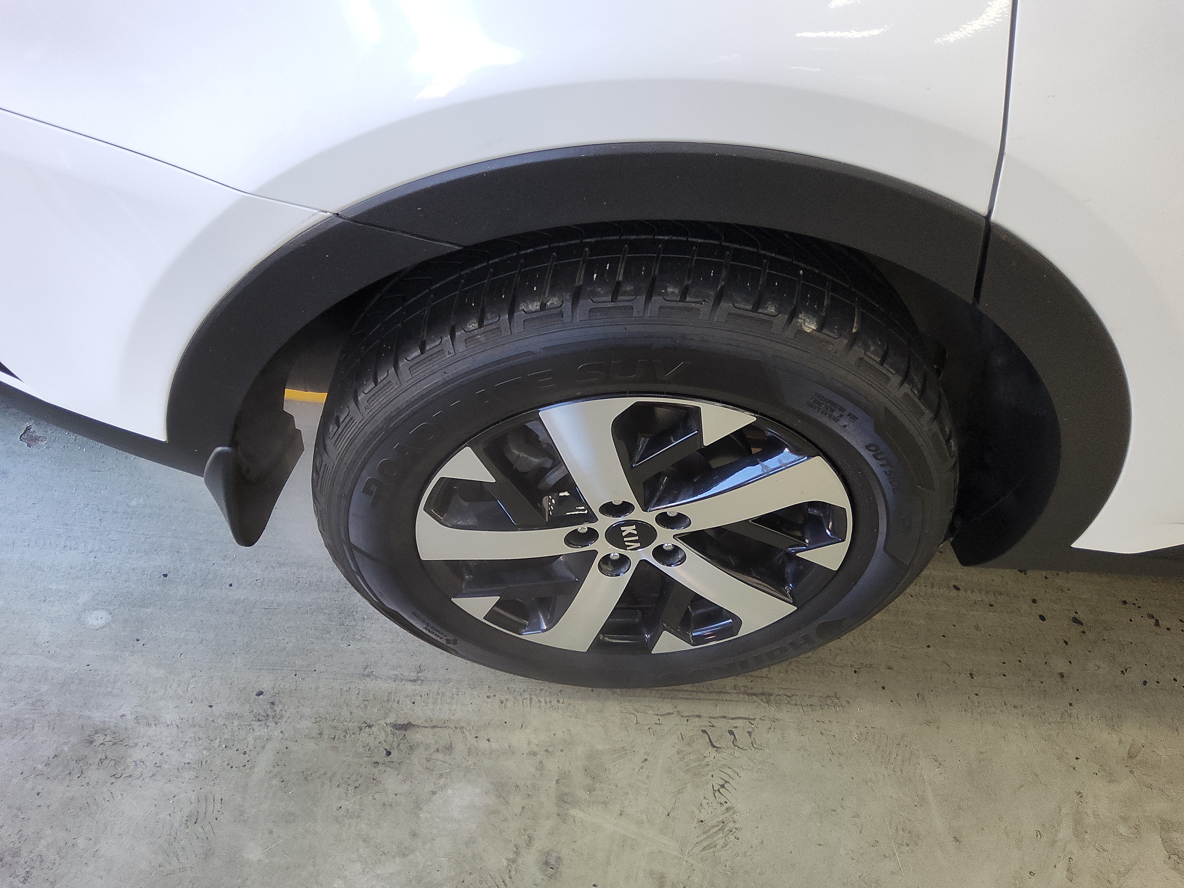 صورة إضافية