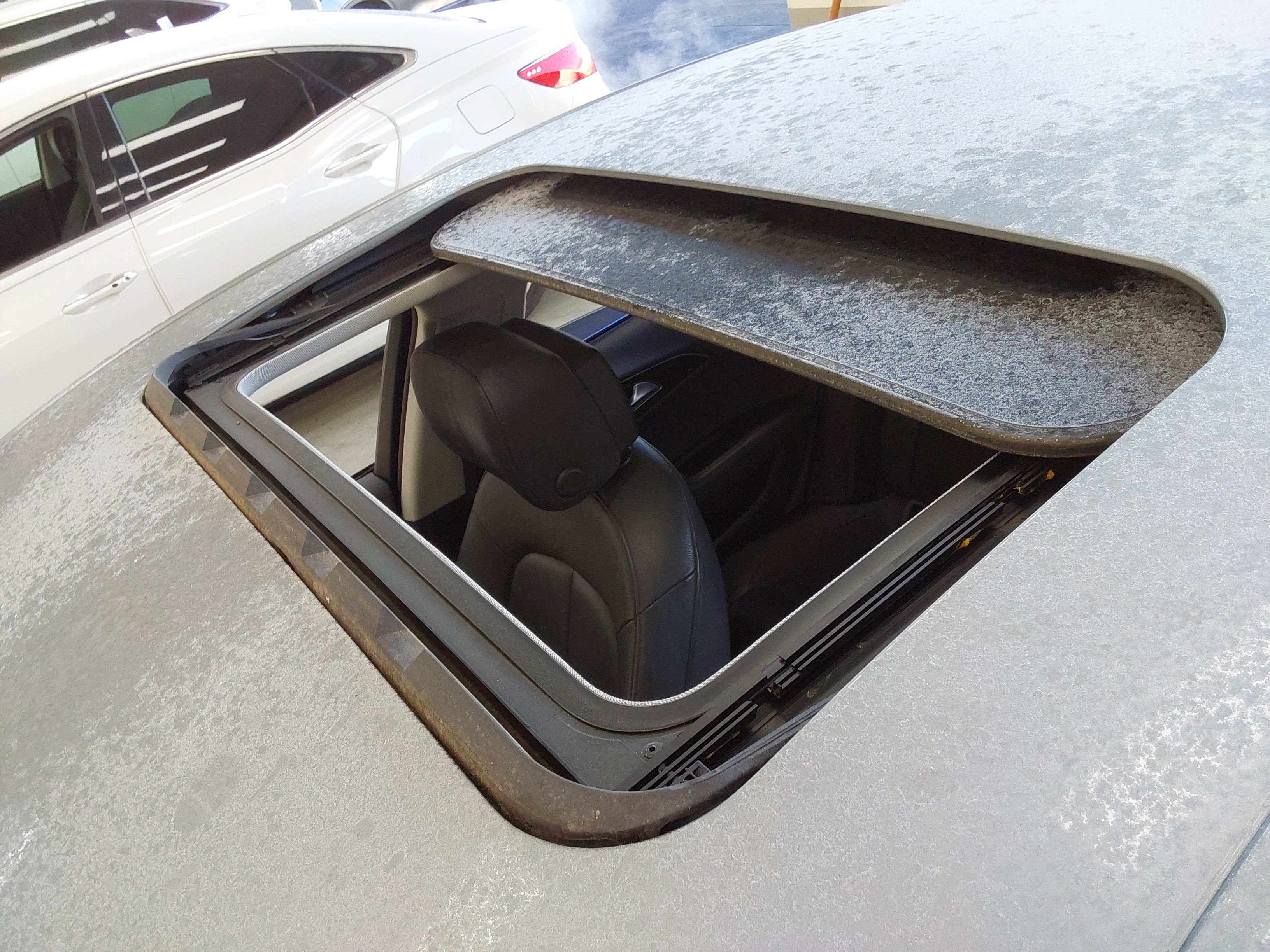 صورة إضافية