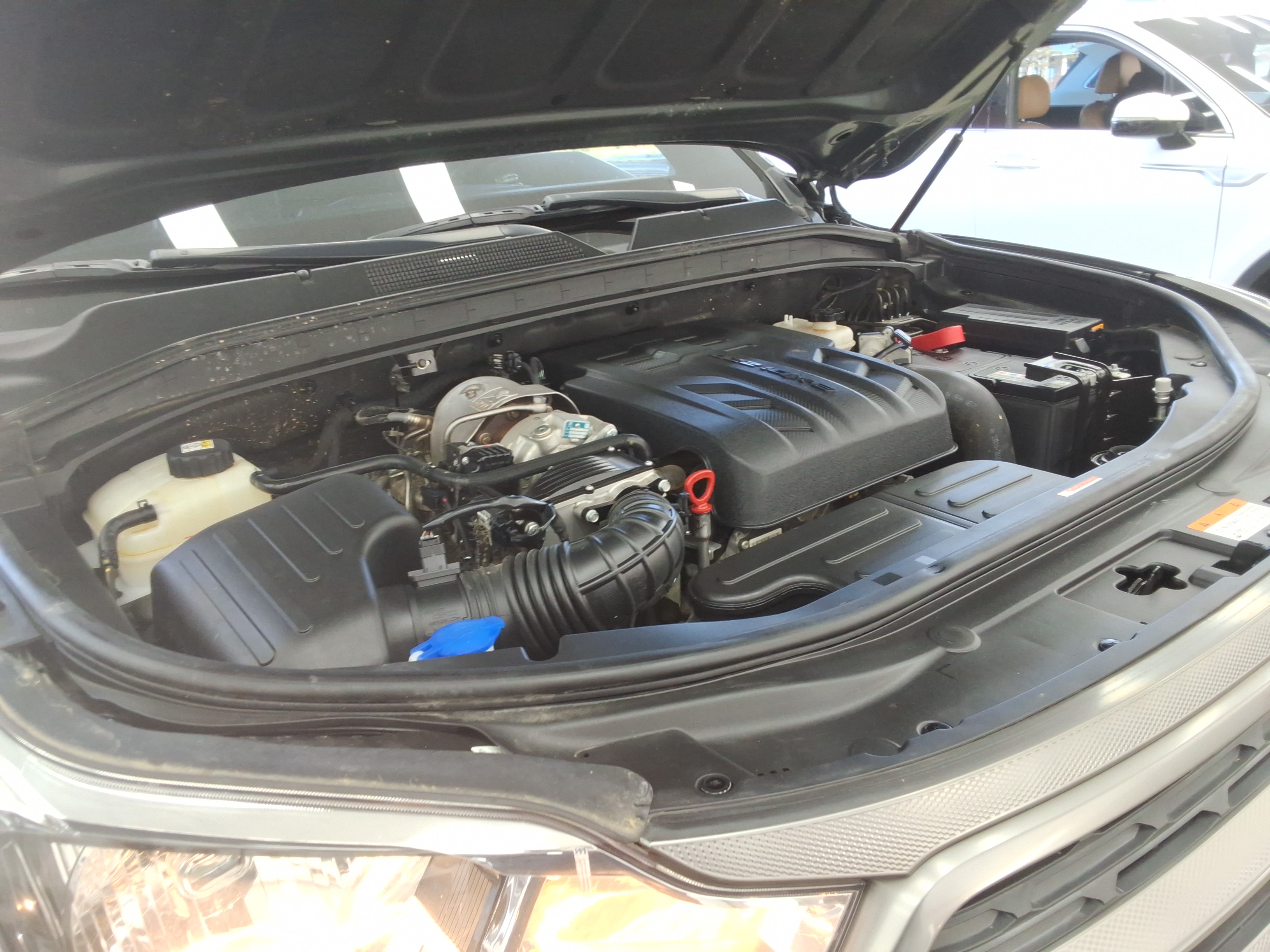 صورة إضافية