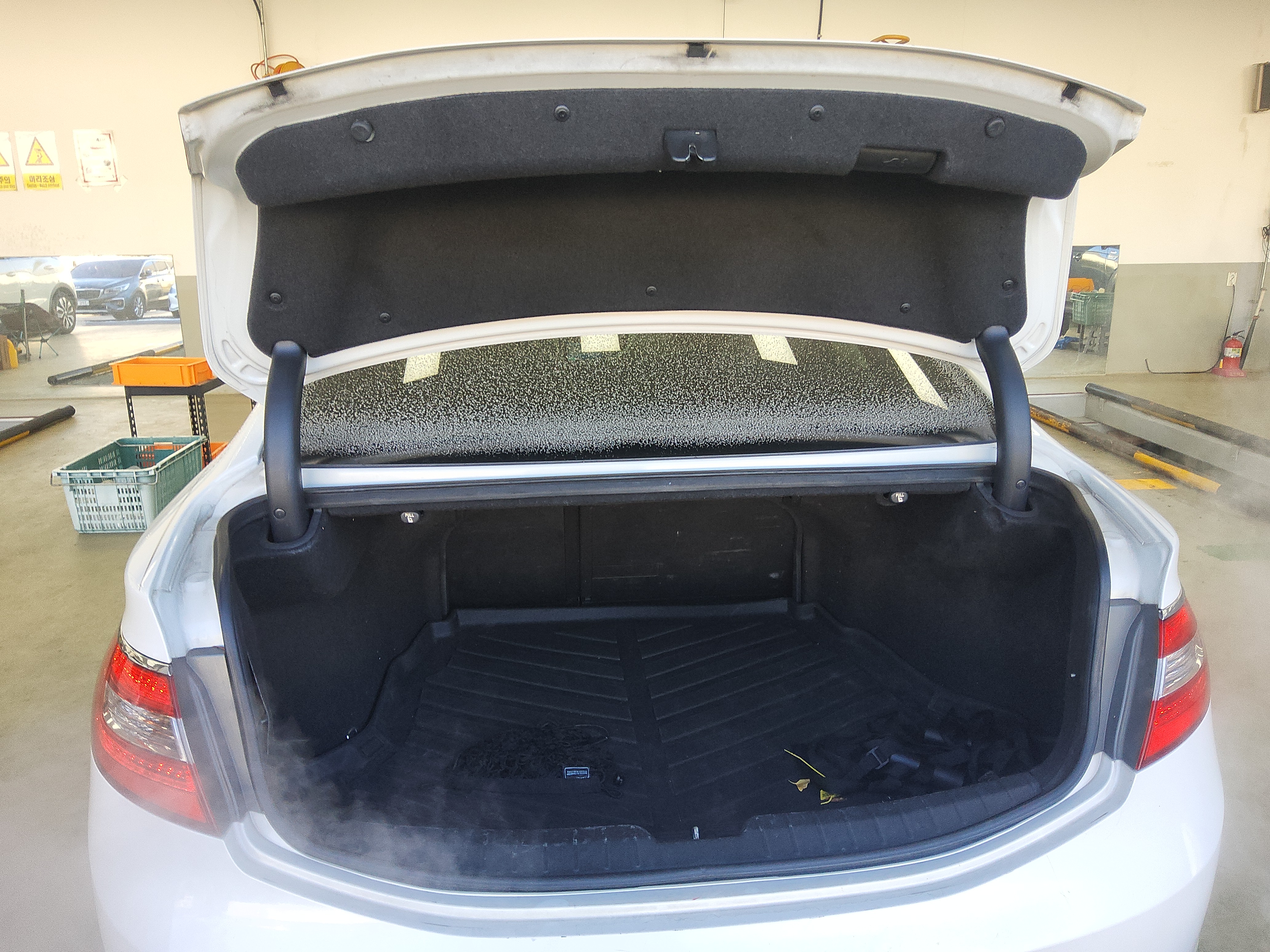 صورة إضافية