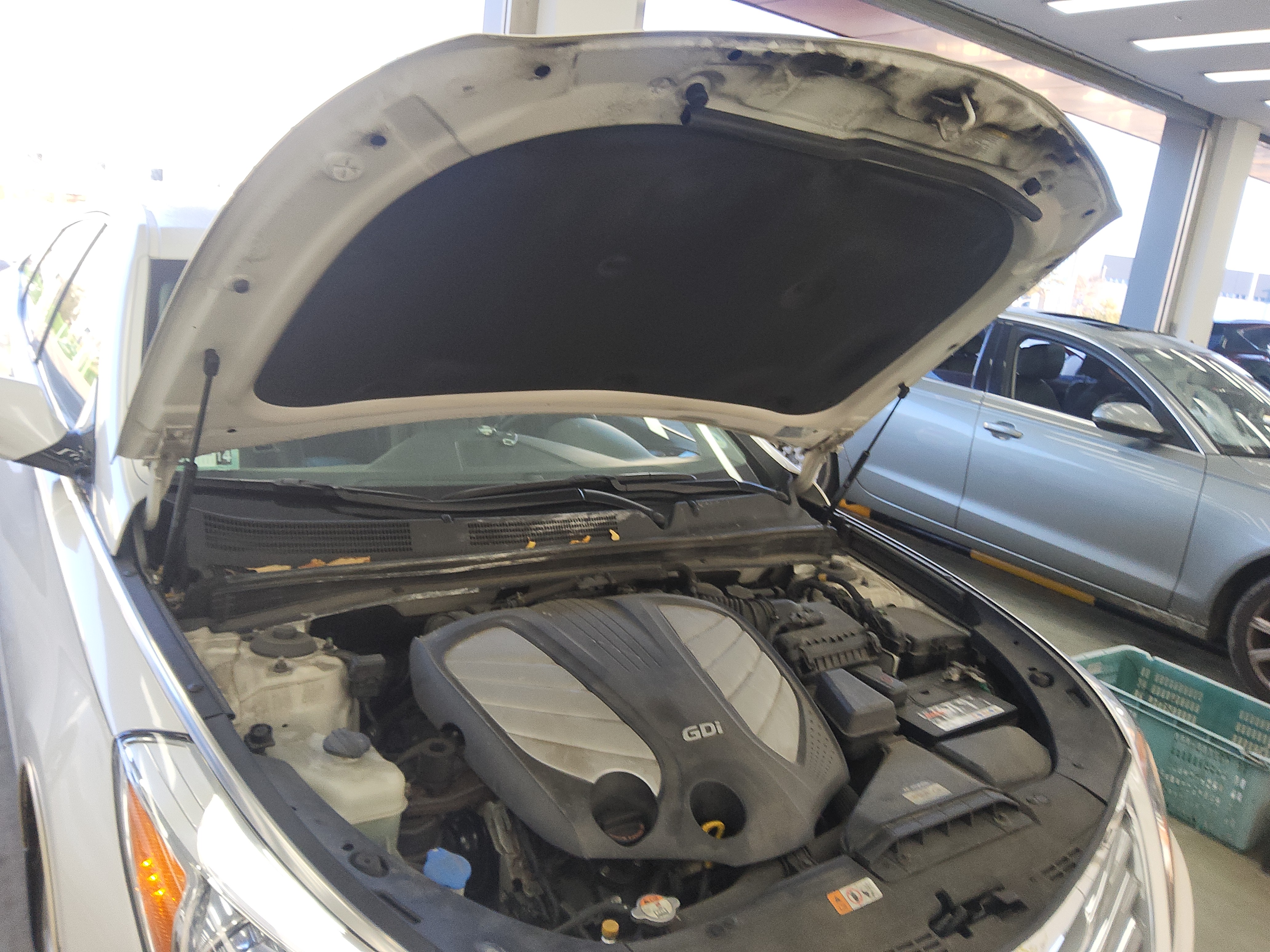 صورة إضافية