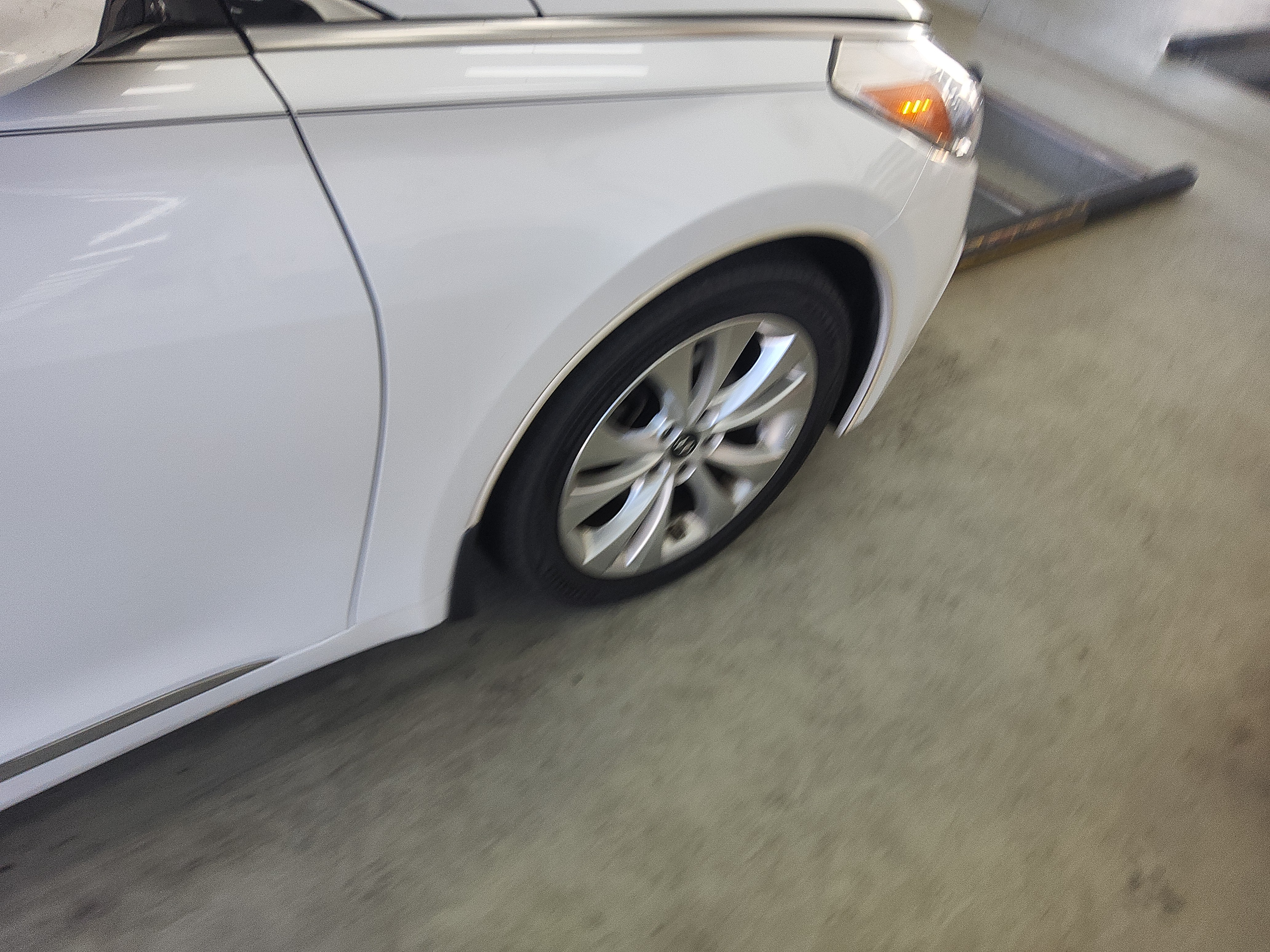 صورة إضافية