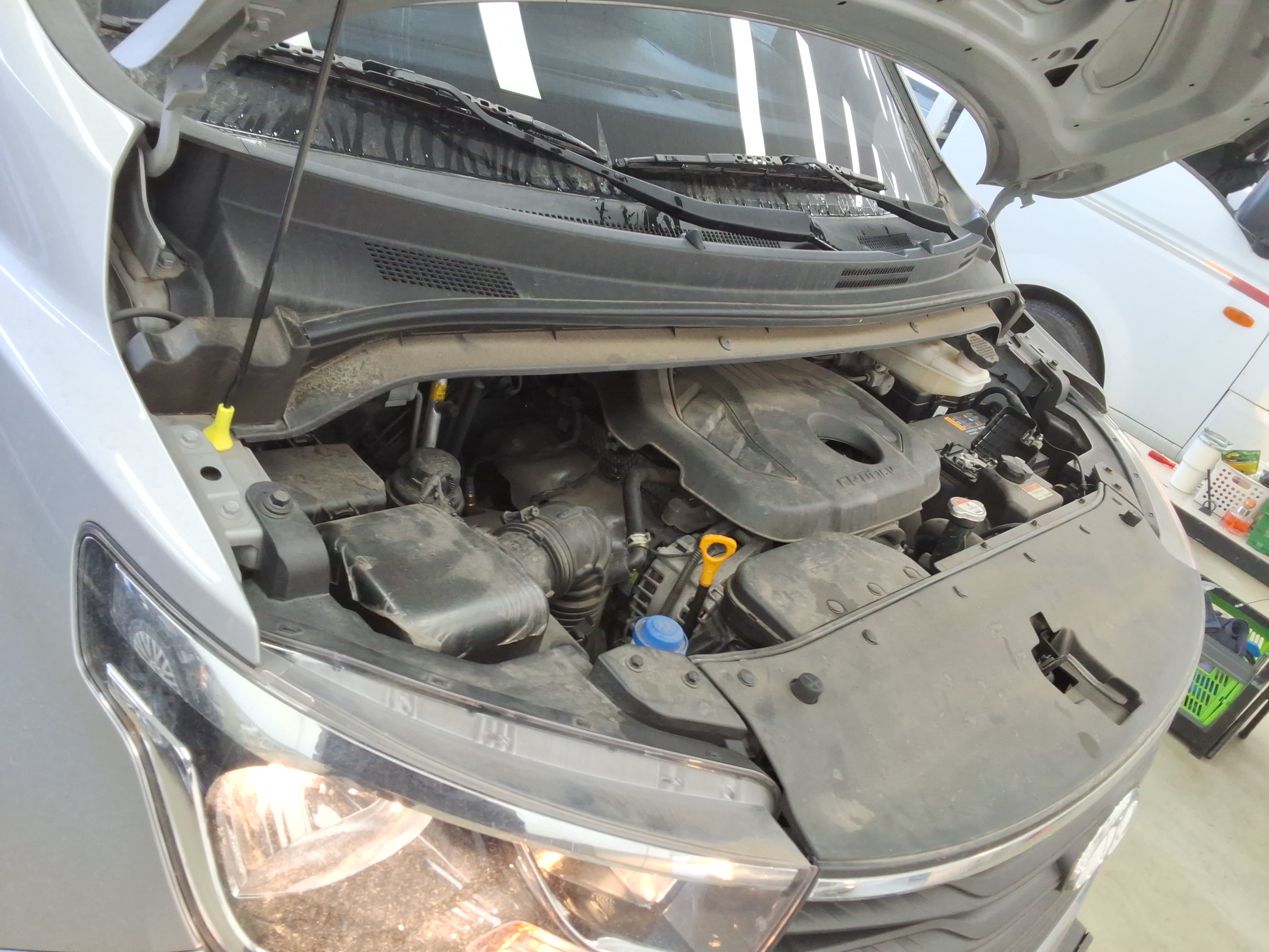 صورة إضافية