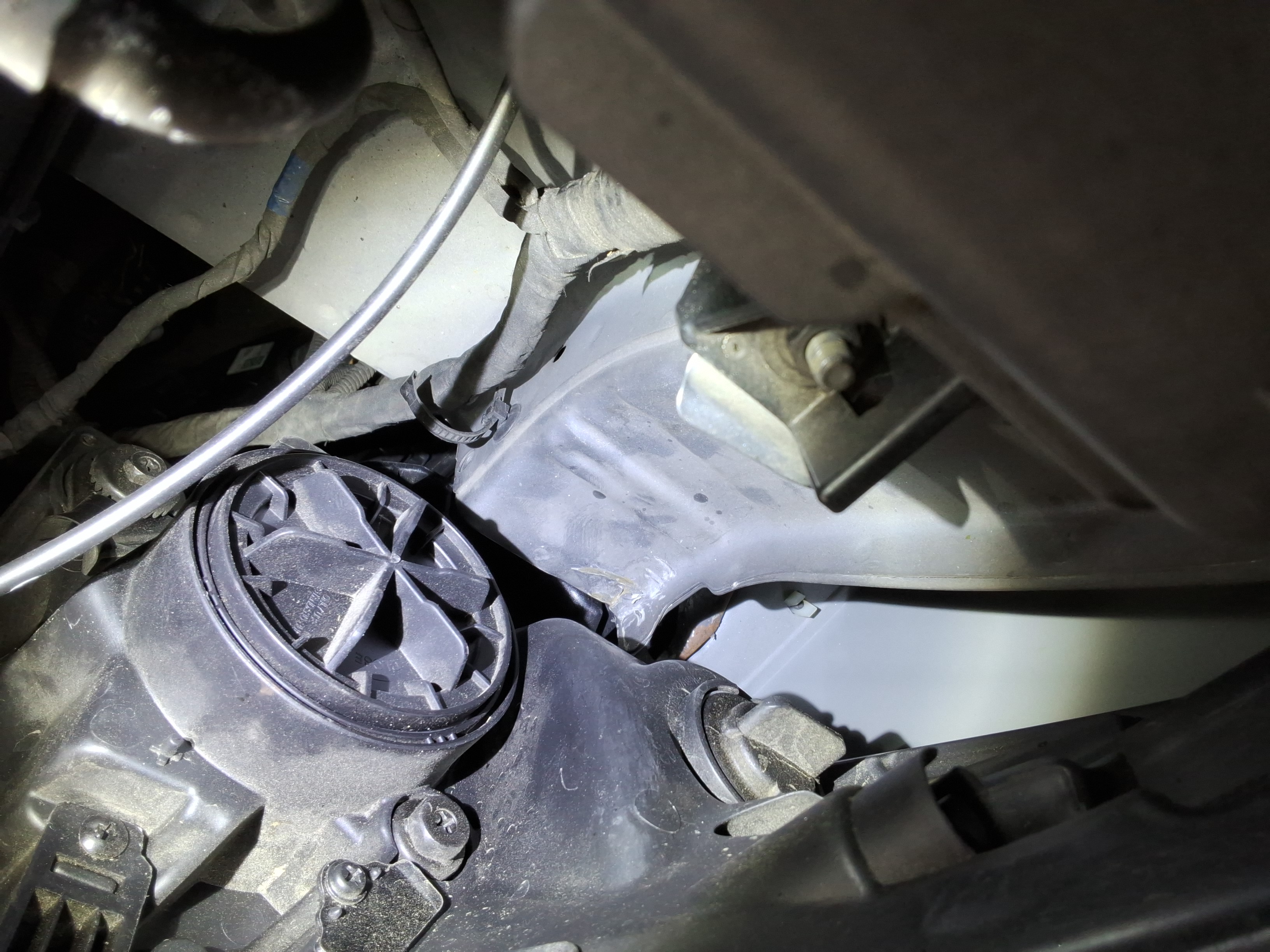 صورة إضافية