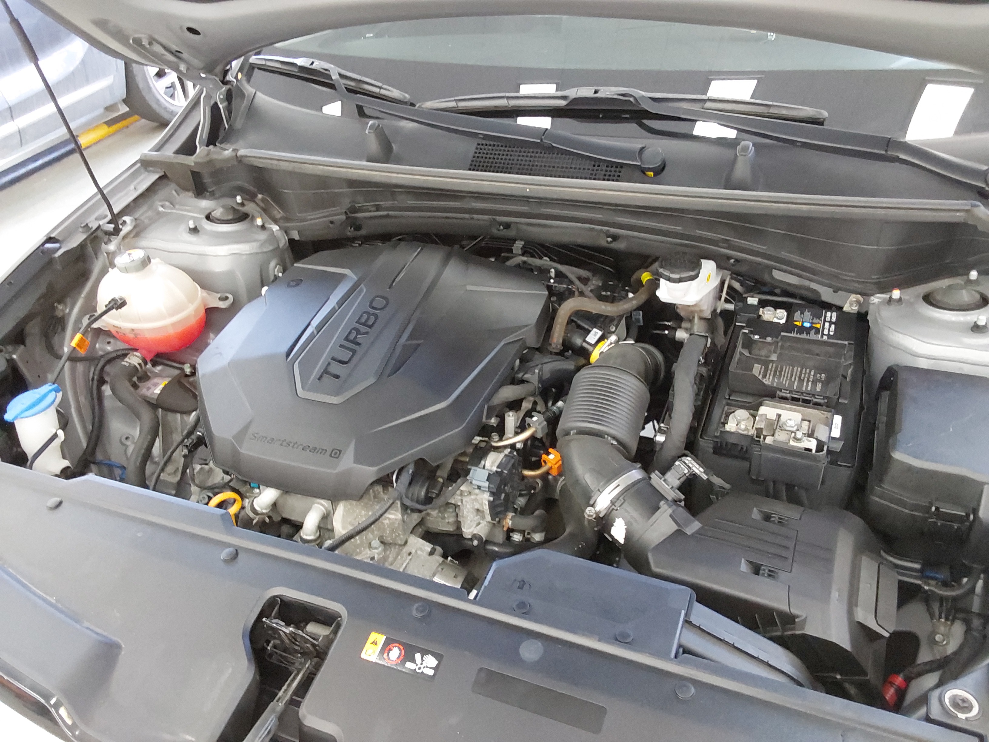 صورة إضافية