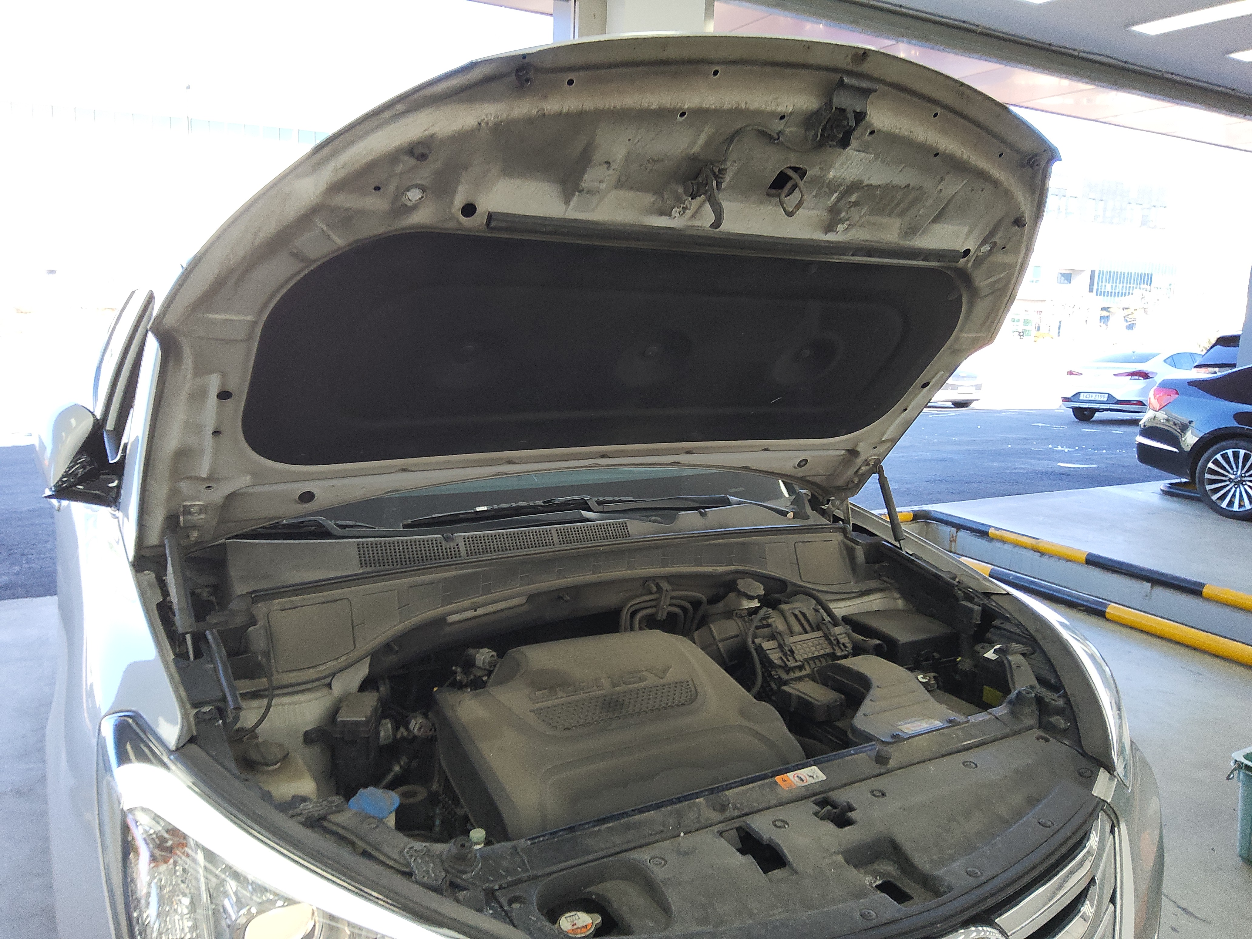 صورة إضافية