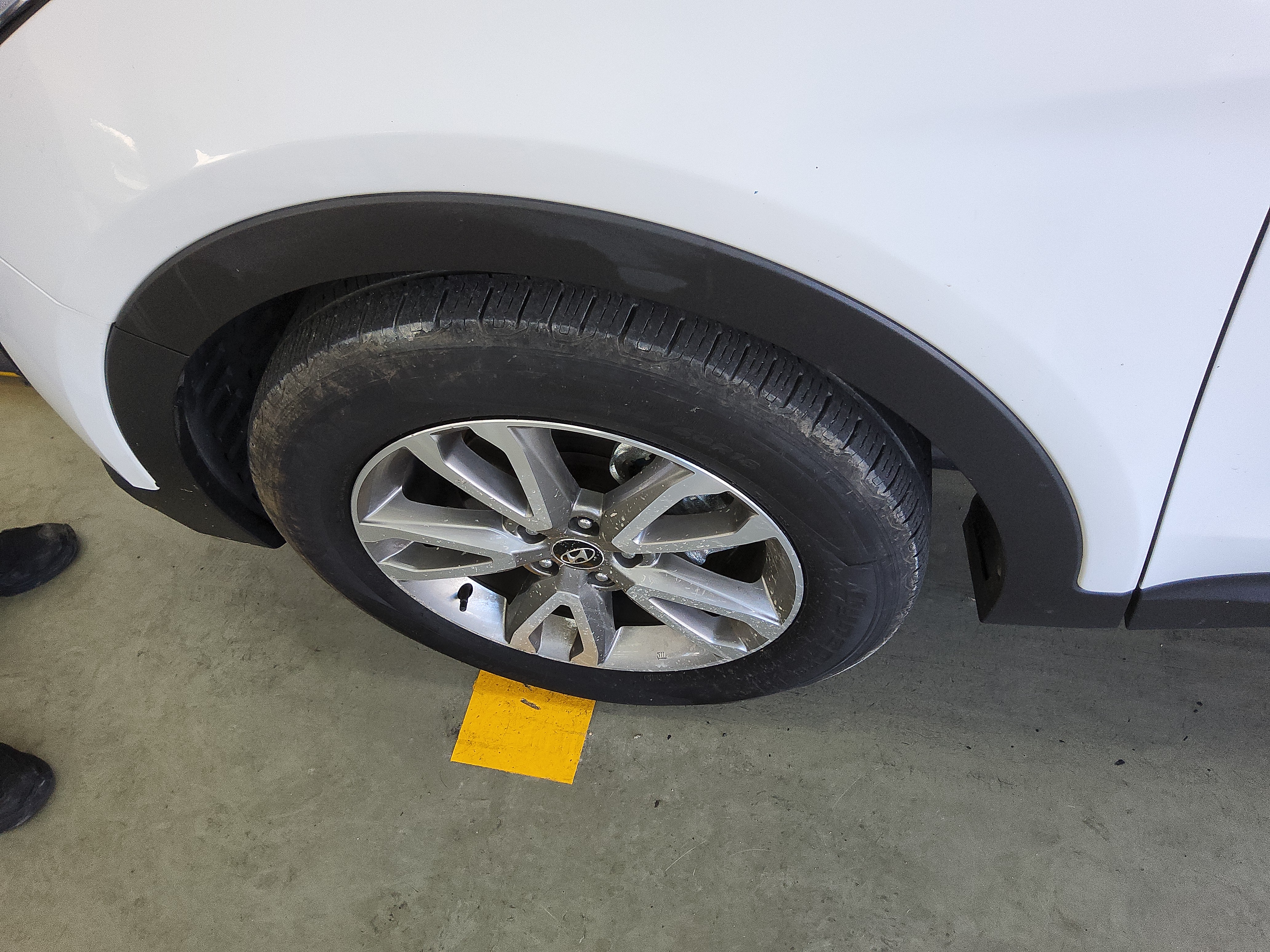 صورة إضافية