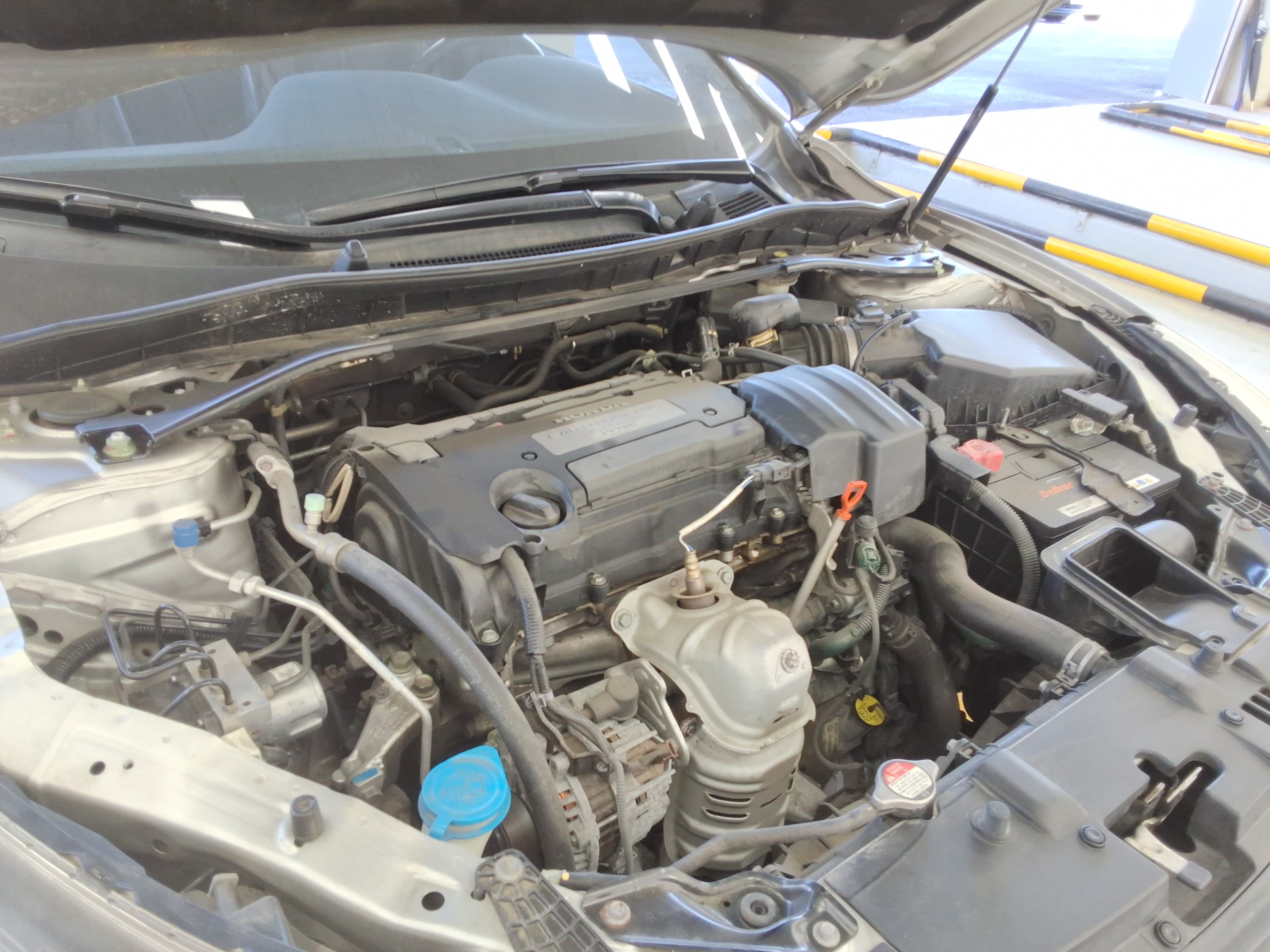 صورة إضافية