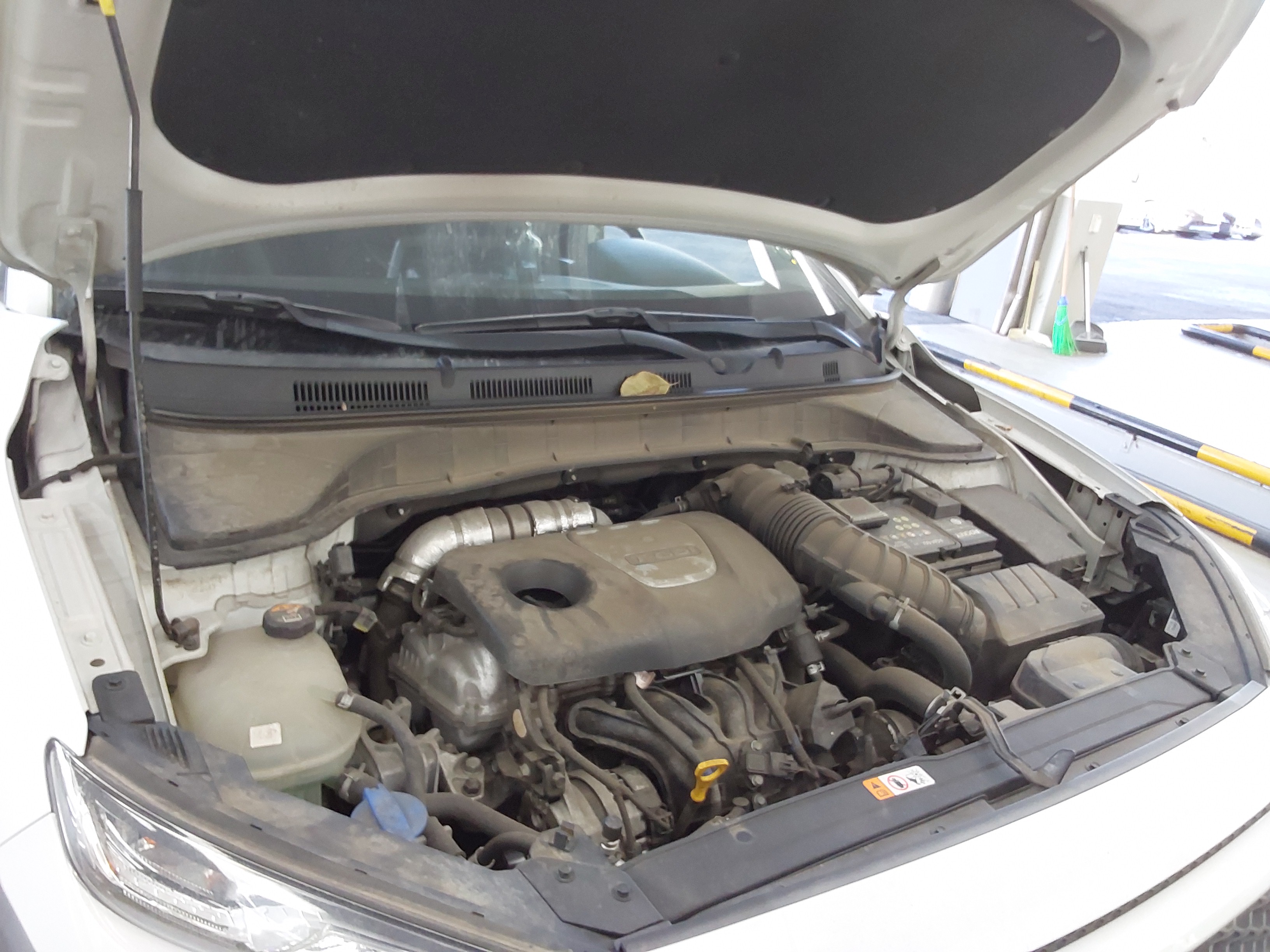 صورة إضافية